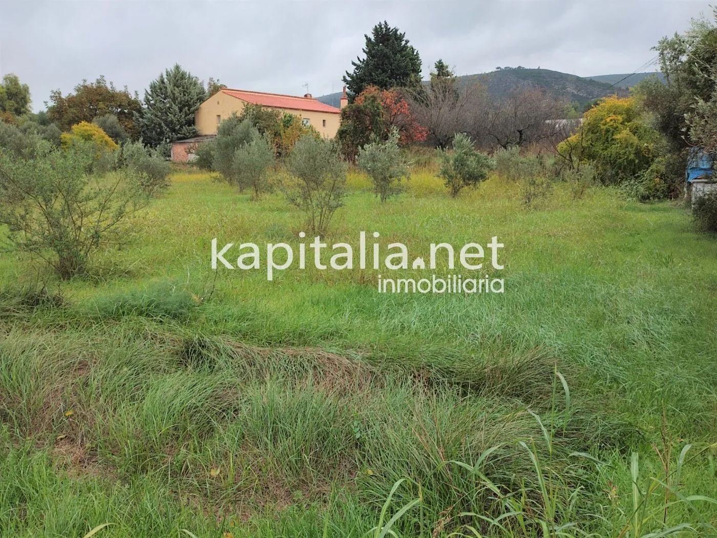 Eigendom te Verkoop in Ontinyent