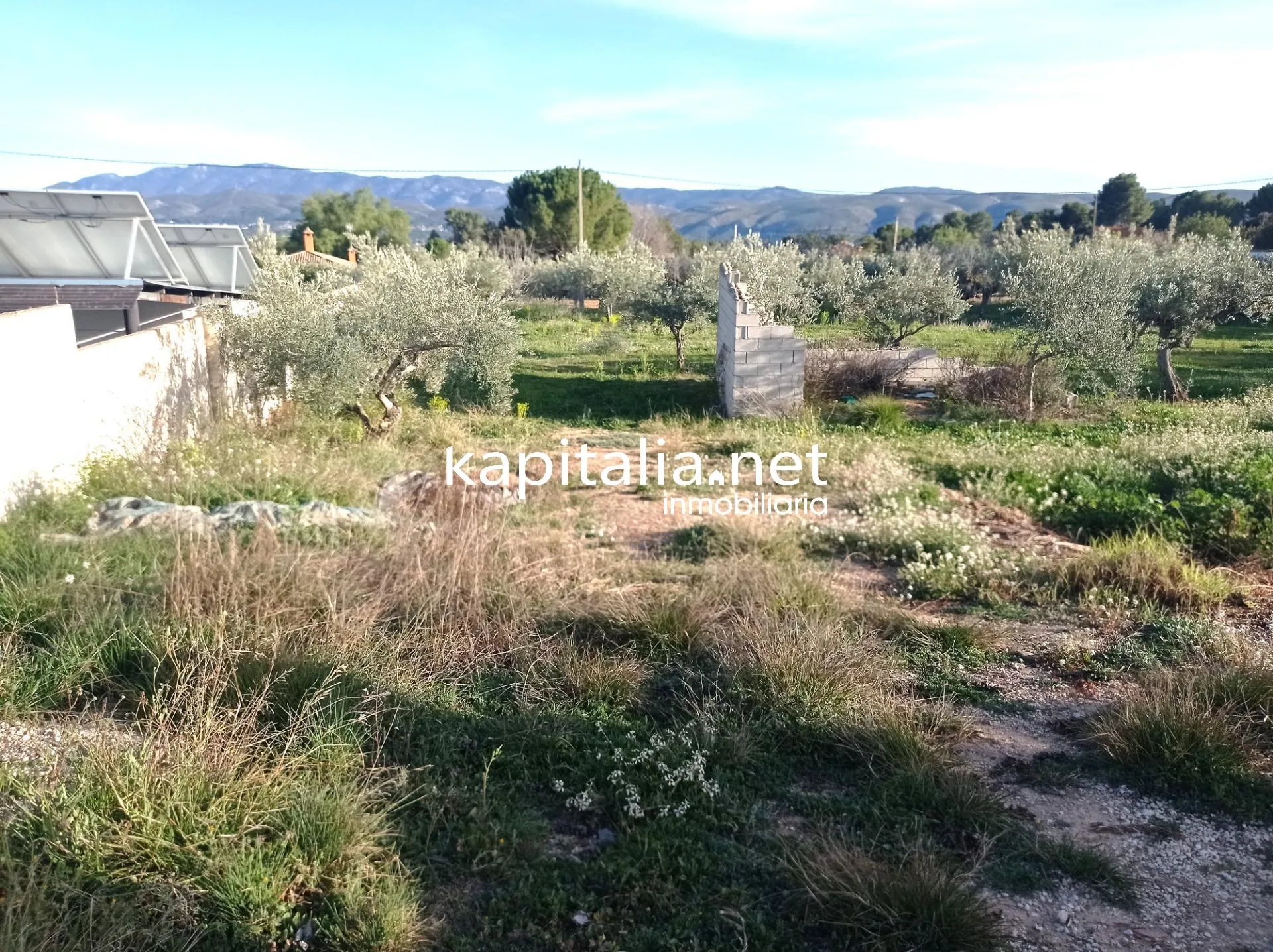 TERRENO A LA VENTA PARTIDA DE LA SOLANA A LA GARNACHA