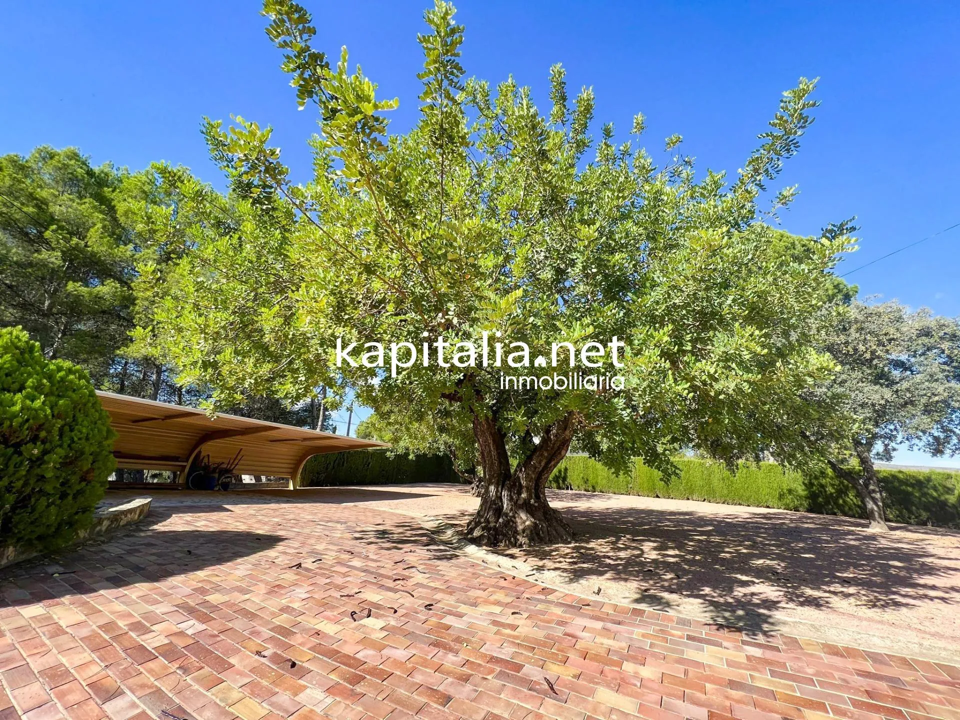 09139 - Magnifico chalet a la venta en Ontinyent