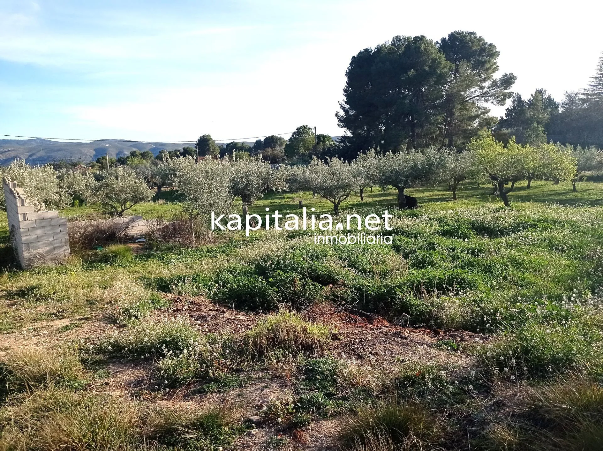 TERRENO A LA VENTA PARTIDA DE LA SOLANA A LA GARNACHA