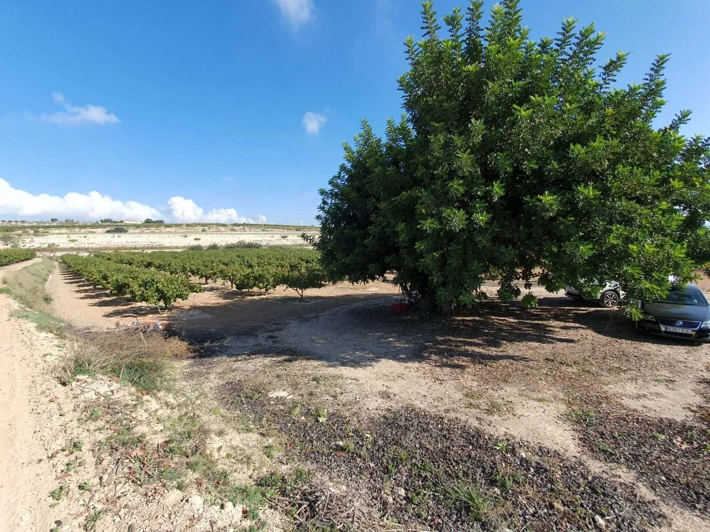 Parcela a la venta en Ontinyent