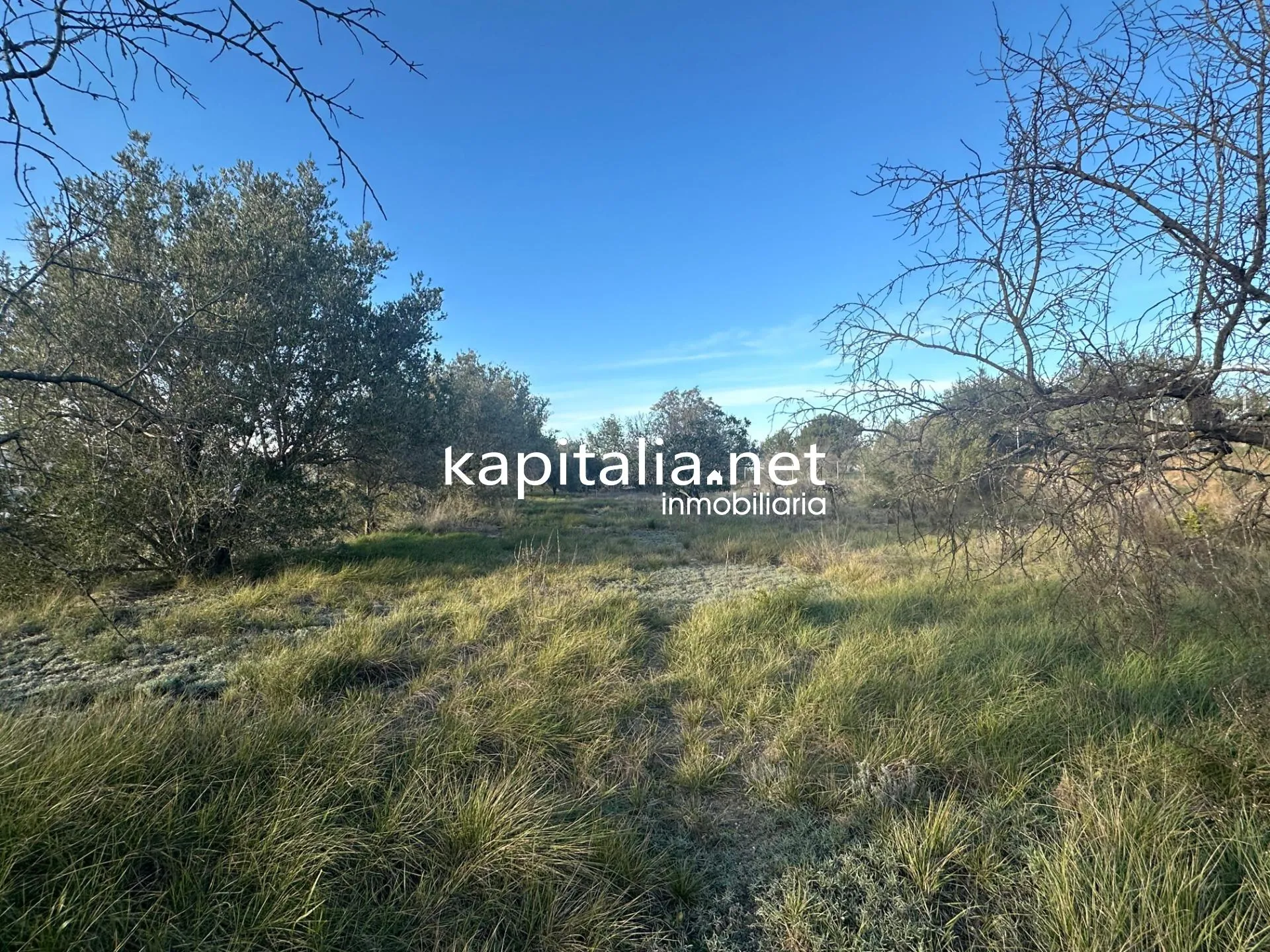 09678 - Property for Sale in Ontinyent