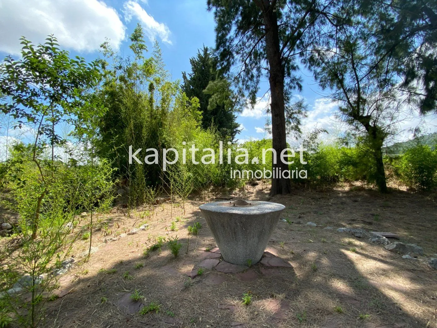 06306 - ESPECTACULAR FINCA A LA VENTA EN ALBAIDA
