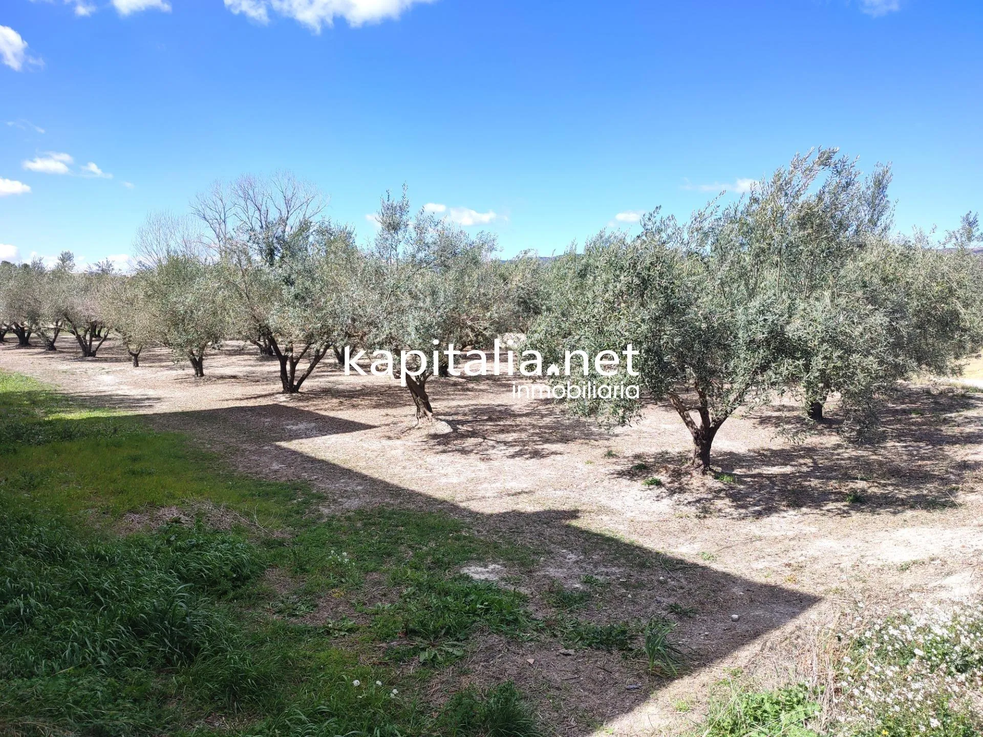 Eigendom te Verkoop in Ontinyent