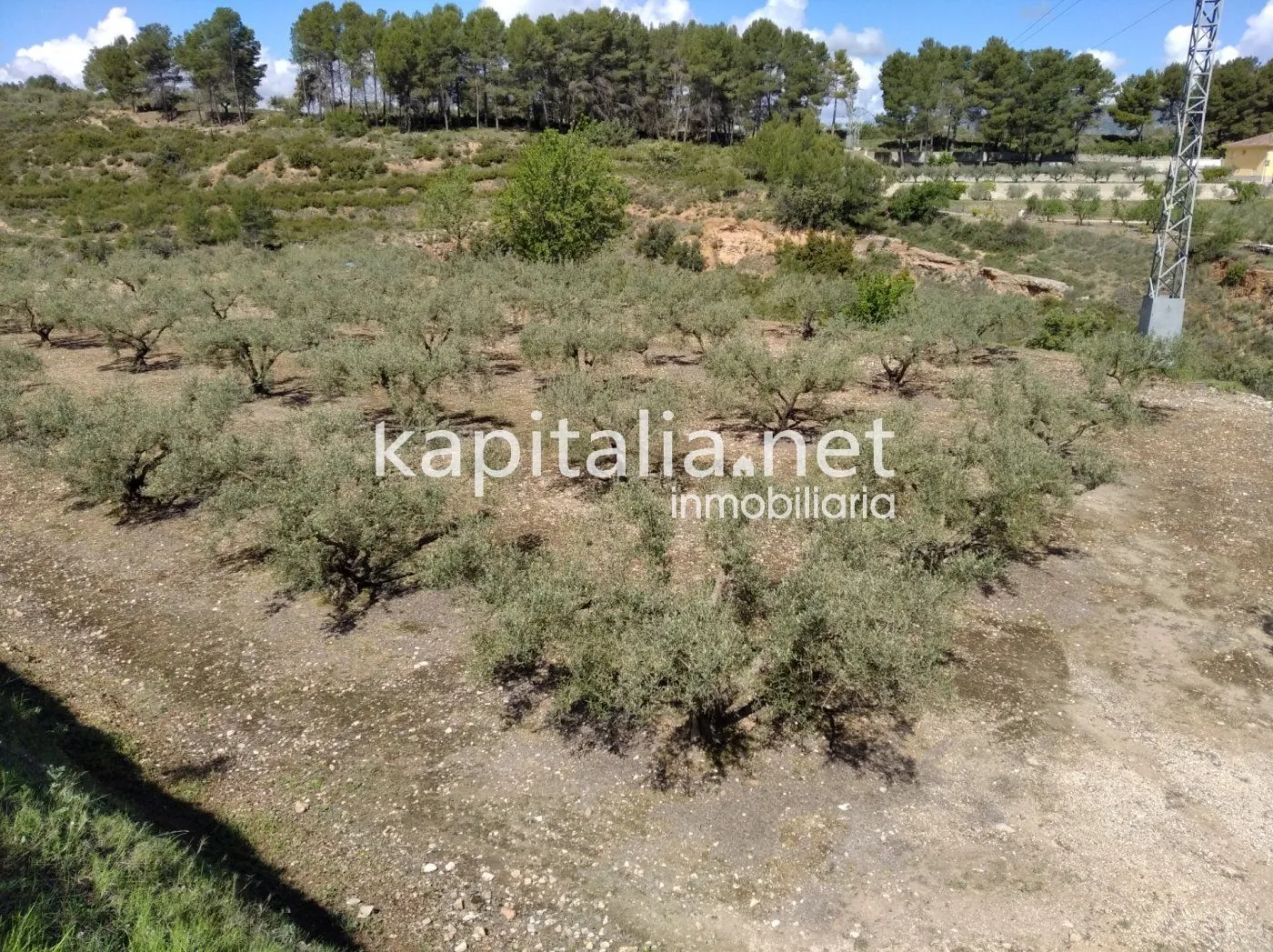 Casa con terreno a la venta en Ontinyent, zona Pou Clar.