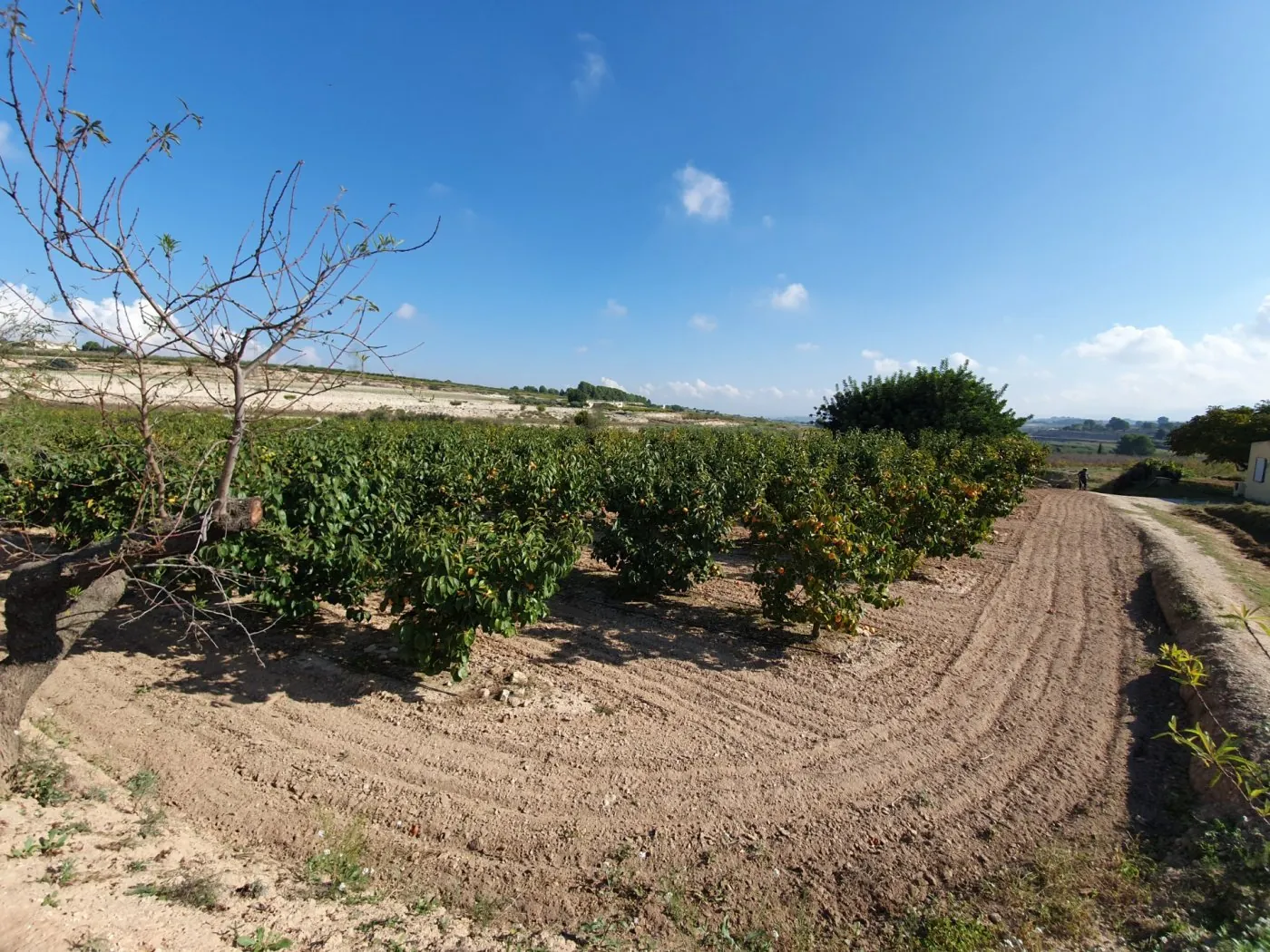 Parcela a la venta en Ontinyent