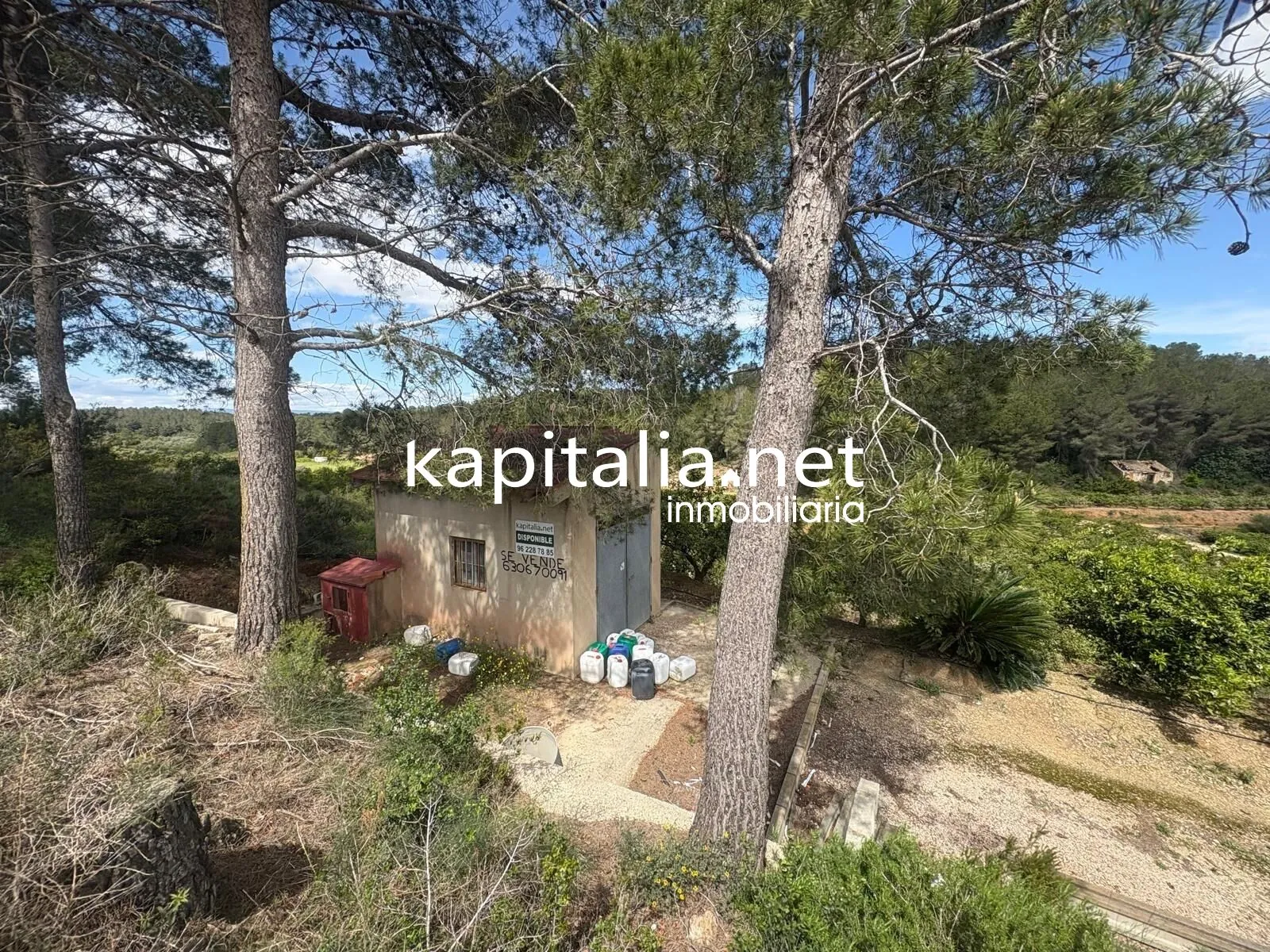 09867 - TERRENO RUSTICO AGRARIO EN PLENA PRODUCCION A LA VENTA EN XATIVA