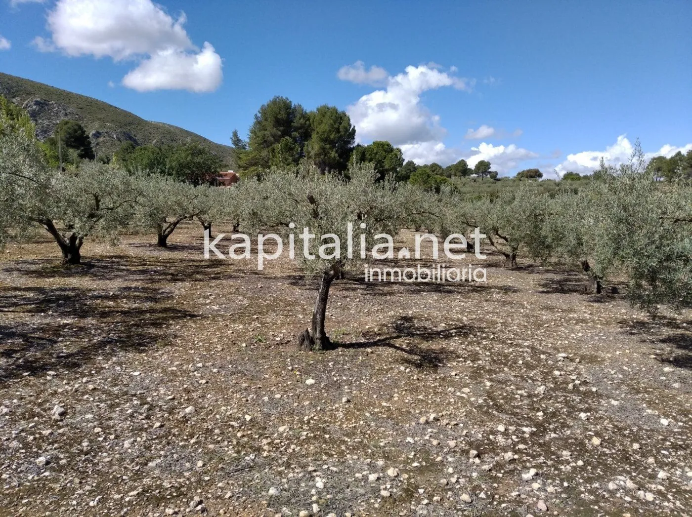Casa con terreno a la venta en Ontinyent, zona Pou Clar.
