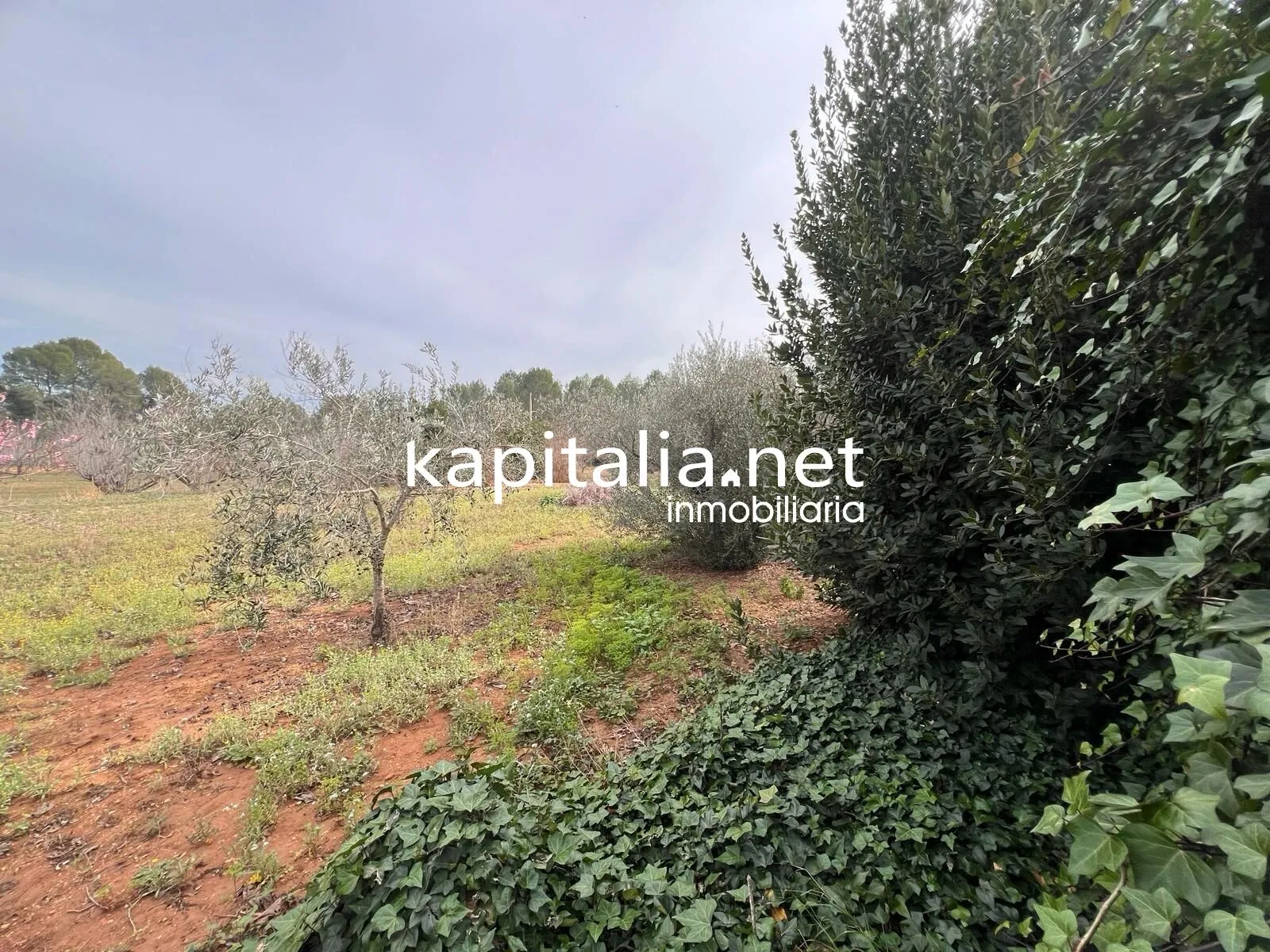 Chalet a la venta en l'Olleria