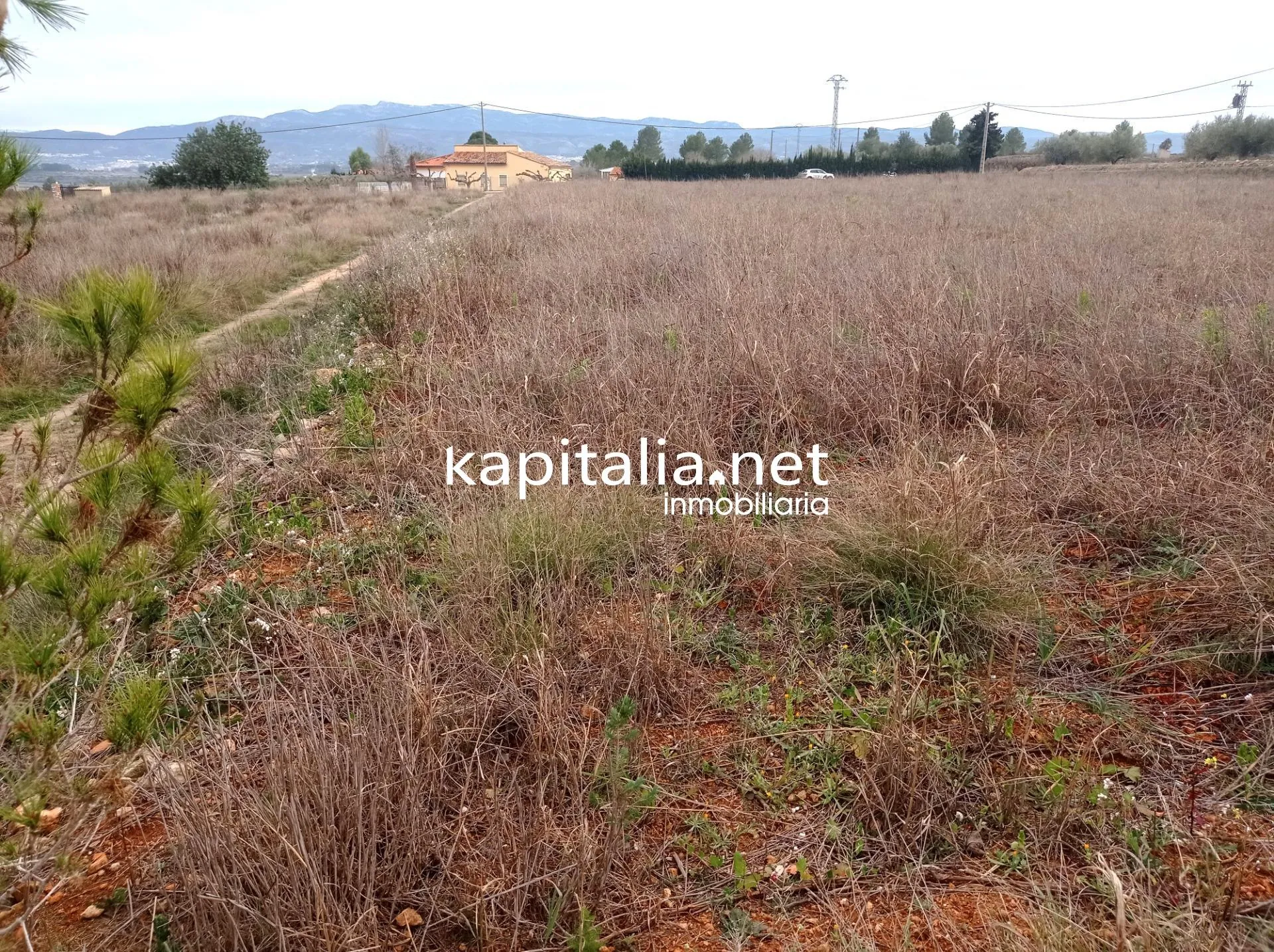 09680 - TERRENO A LA VENTA EN AIELO DE MALFERIT CON CASITA DE APEROS