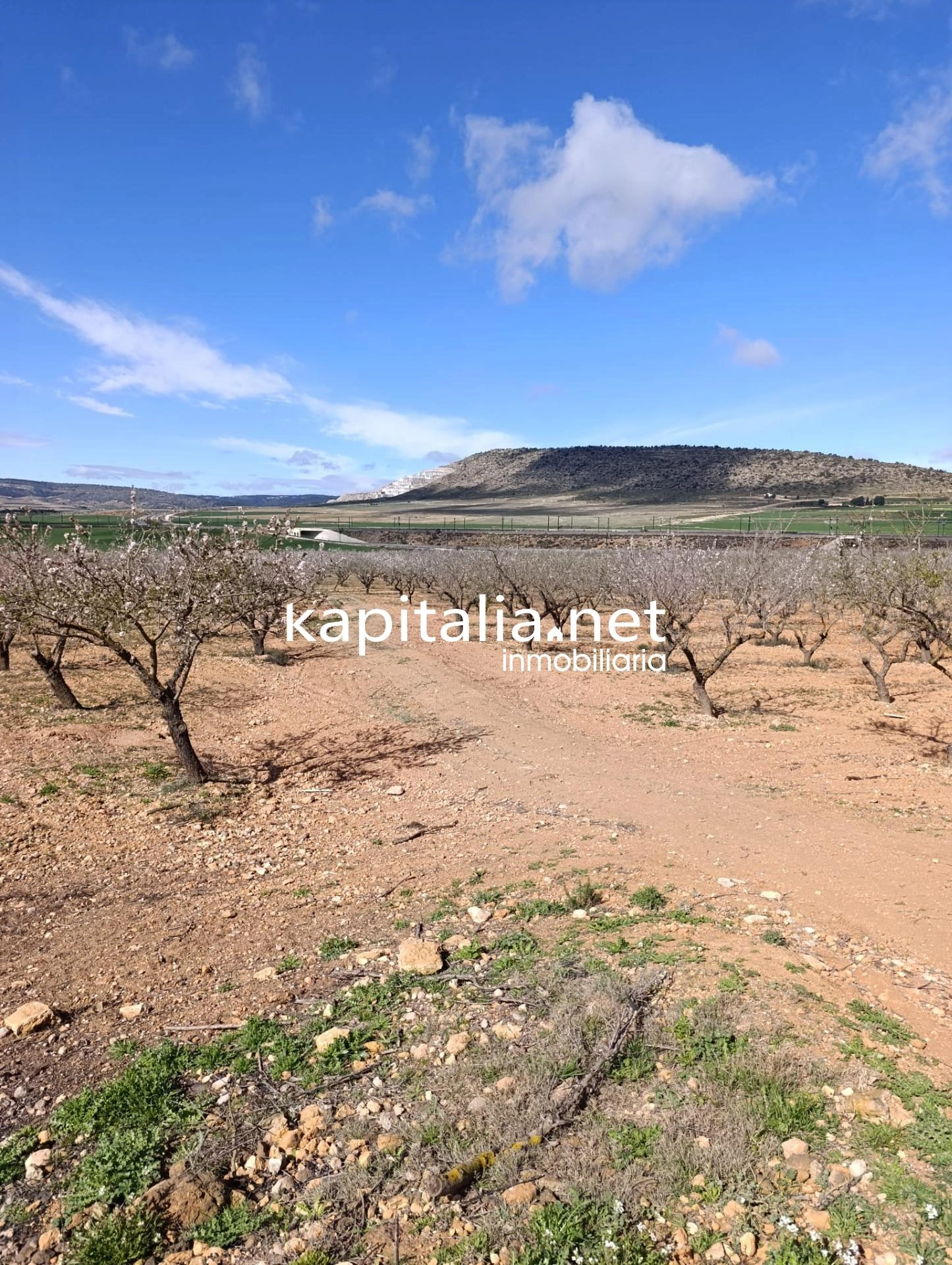 FINCA RUSTICA A LA VENTA