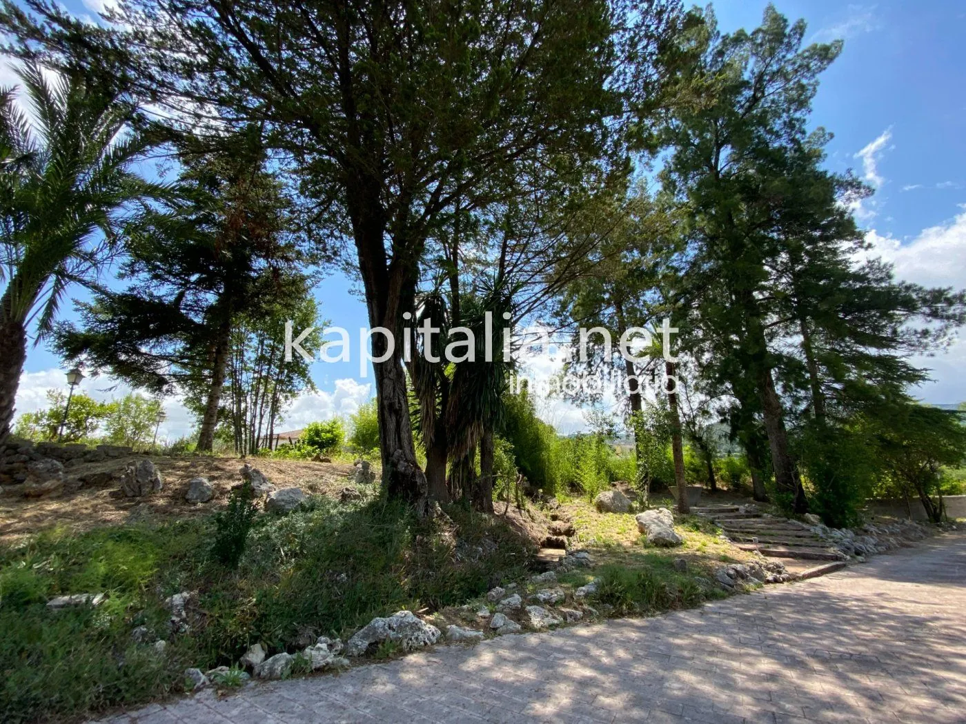 06306 - ESPECTACULAR FINCA A LA VENTA EN ALBAIDA