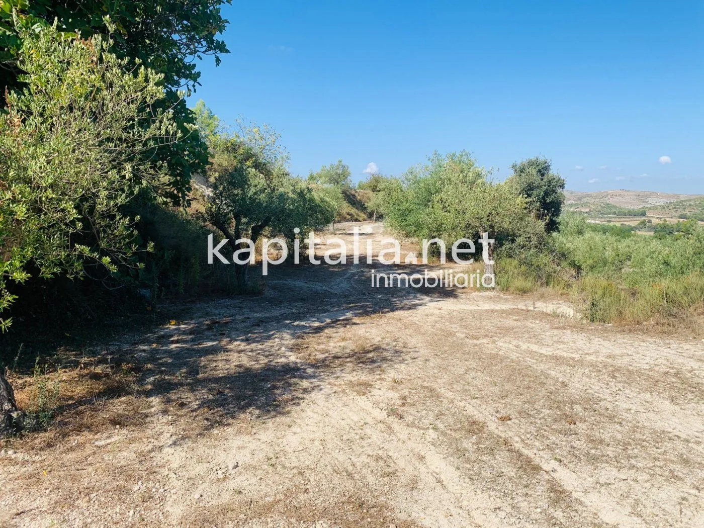Parcela a la venta en Alfafara.