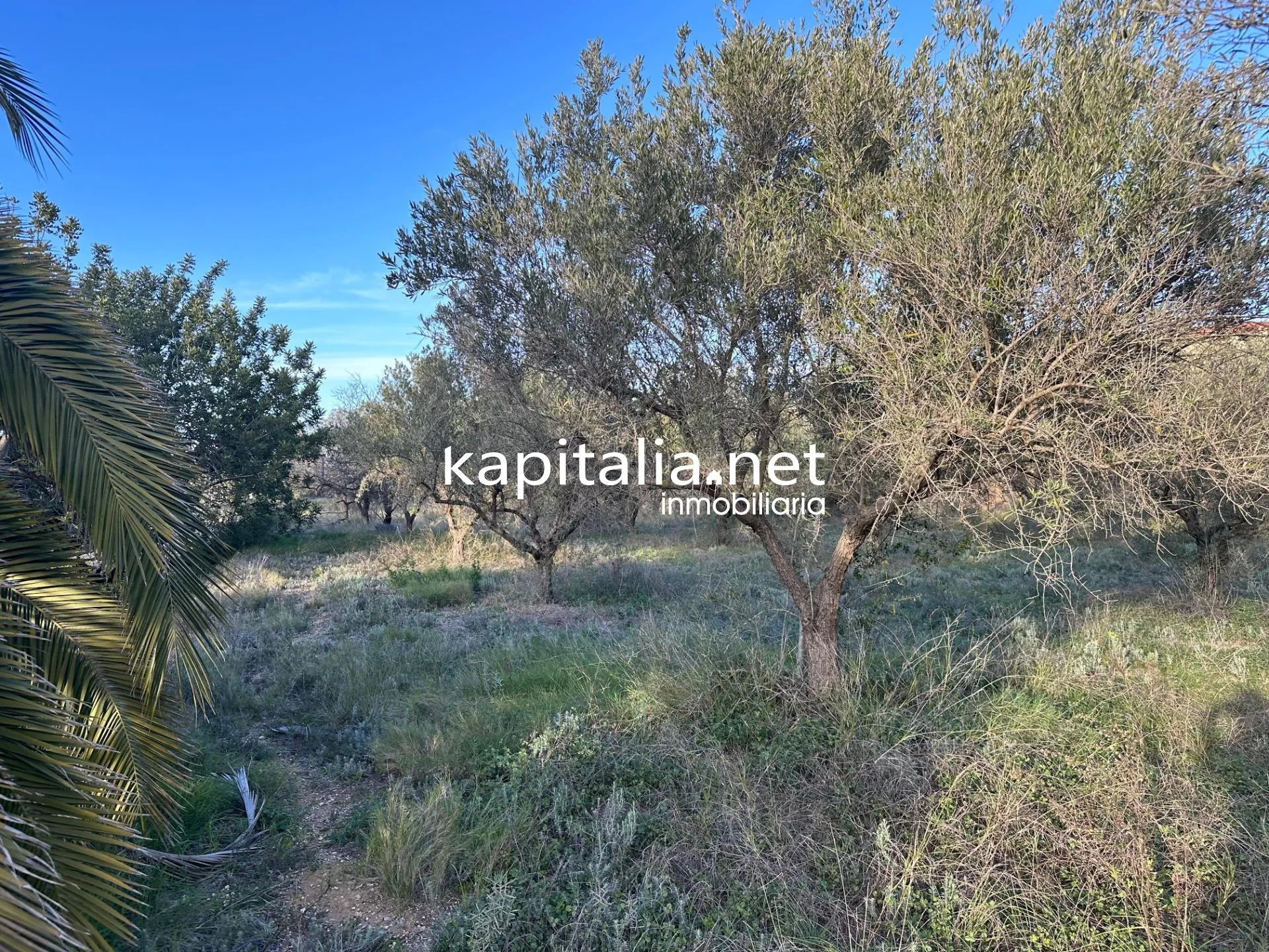 09678 - Property for Sale in Ontinyent