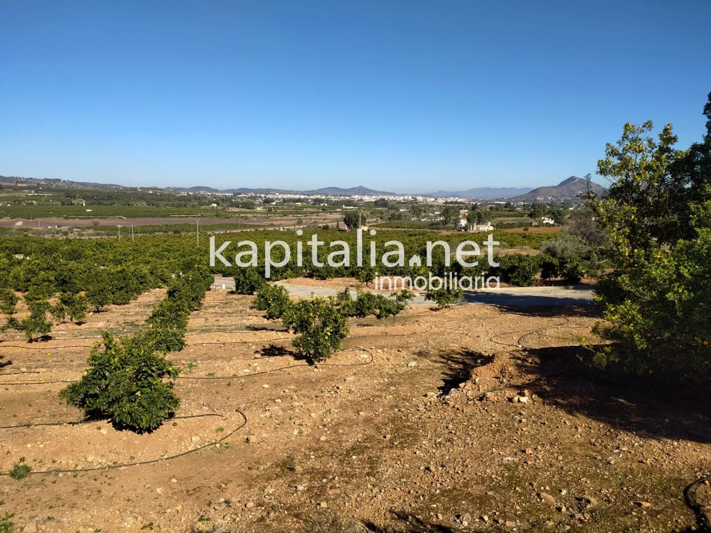 07230 - FINCA RÚSTICA A LA VENTA EN UN ENTORNO ÚNICO