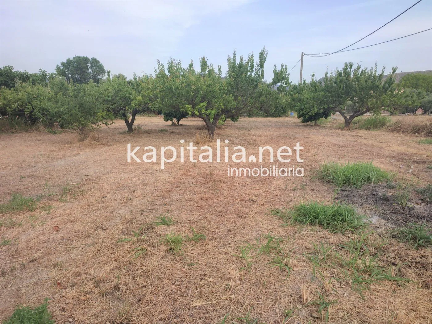 Eigendom te Verkoop in Ontinyent