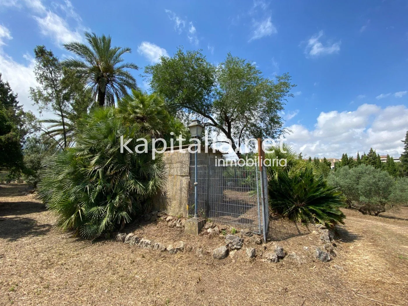 06306 - ESPECTACULAR FINCA A LA VENTA EN ALBAIDA