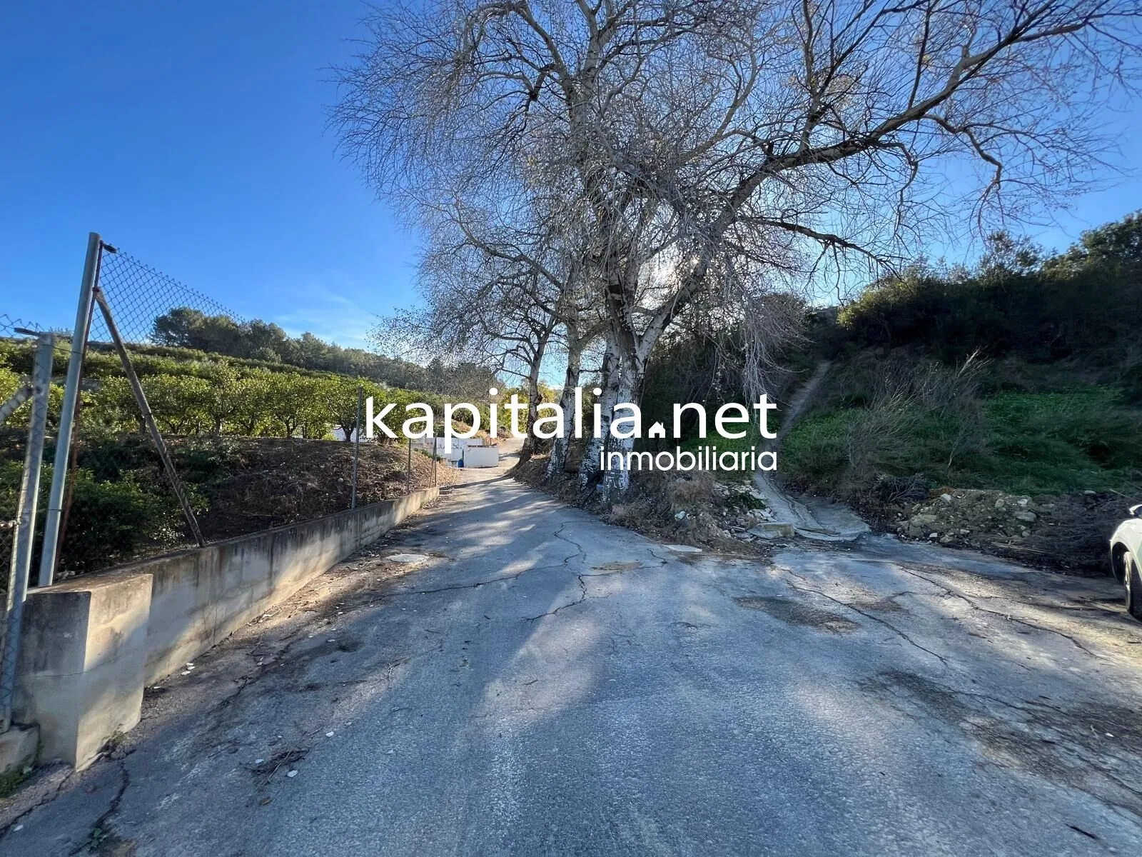 09780 - FINCA DE NARANJOS A LA VENTA EN LA LLOSA DE RANES