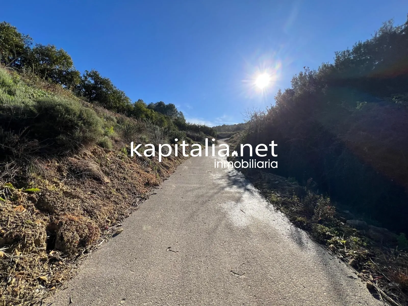 09780 - FINCA DE NARANJOS A LA VENTA EN LA LLOSA DE RANES