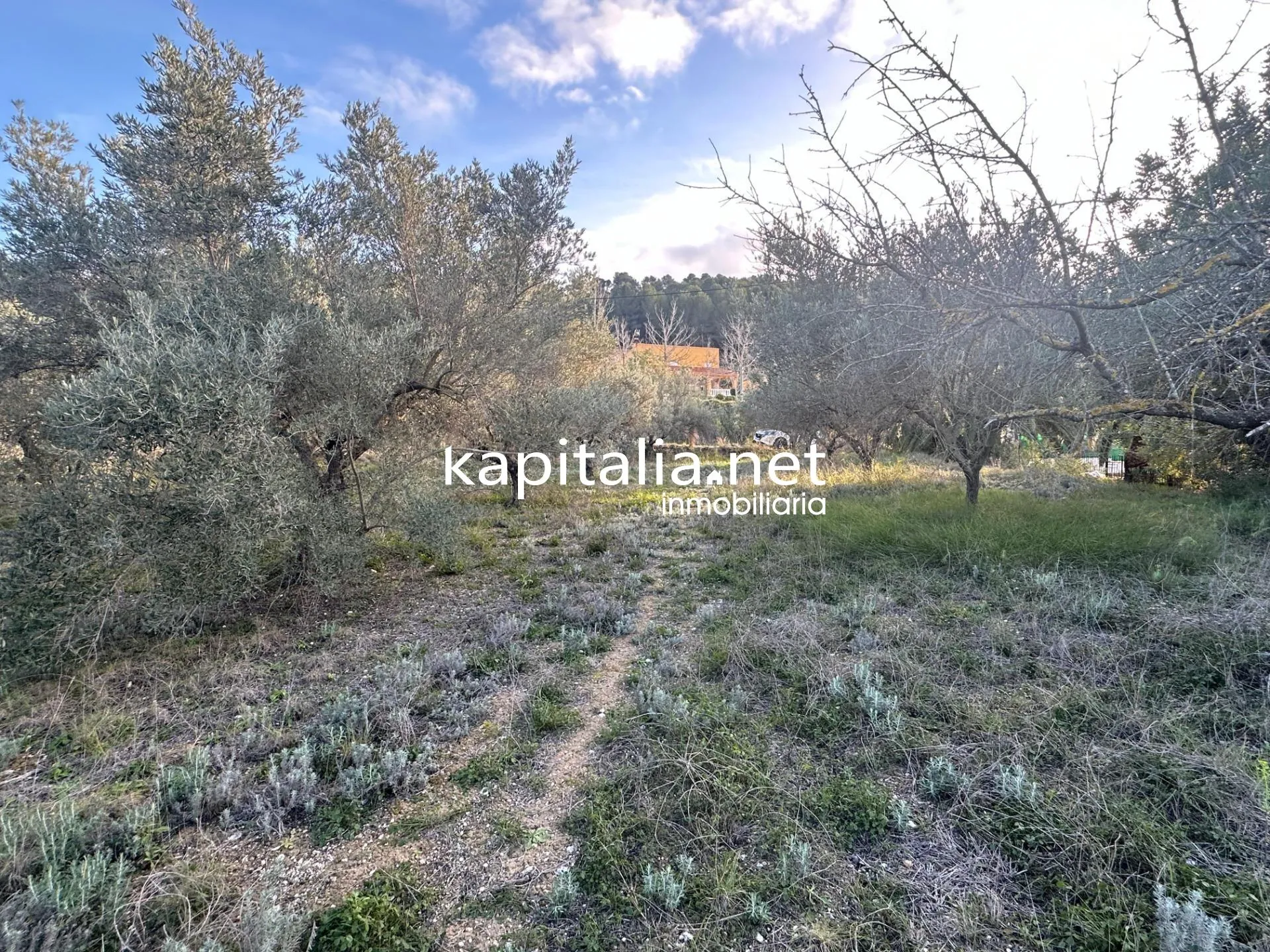 09678 - Property for Sale in Ontinyent