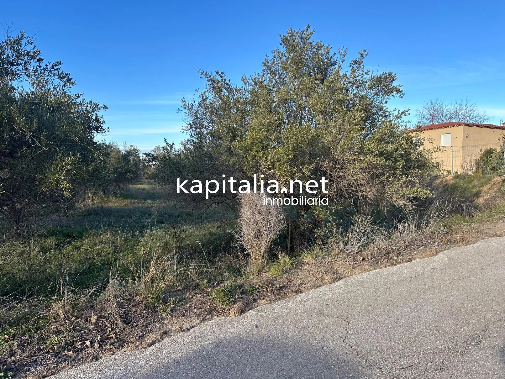 09678 - Property for Sale in Ontinyent