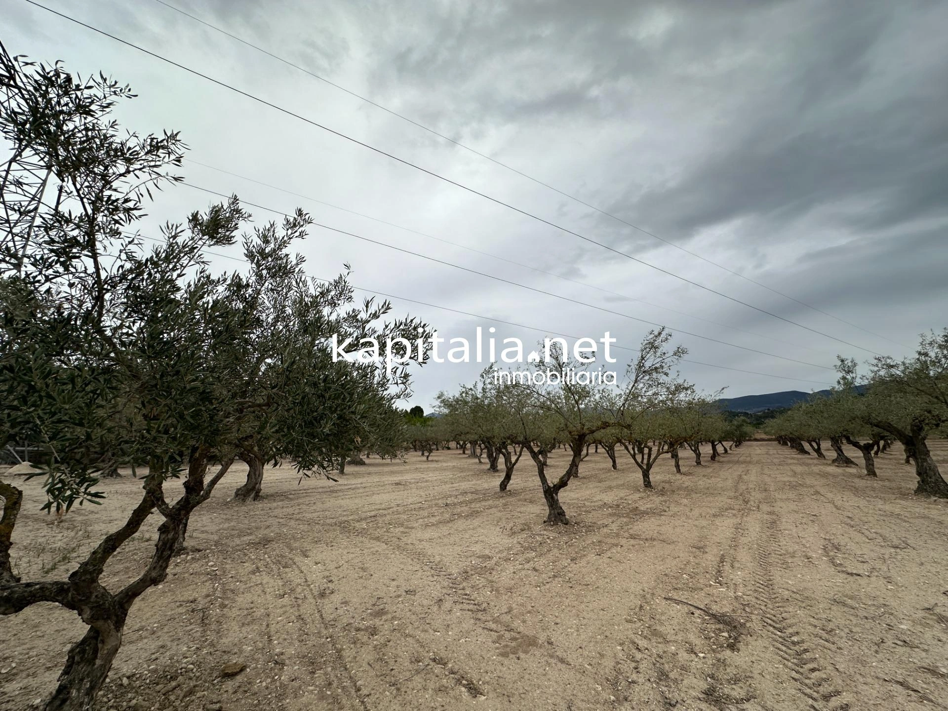 Chalet a la venta en Cocentaina, Alicante.
