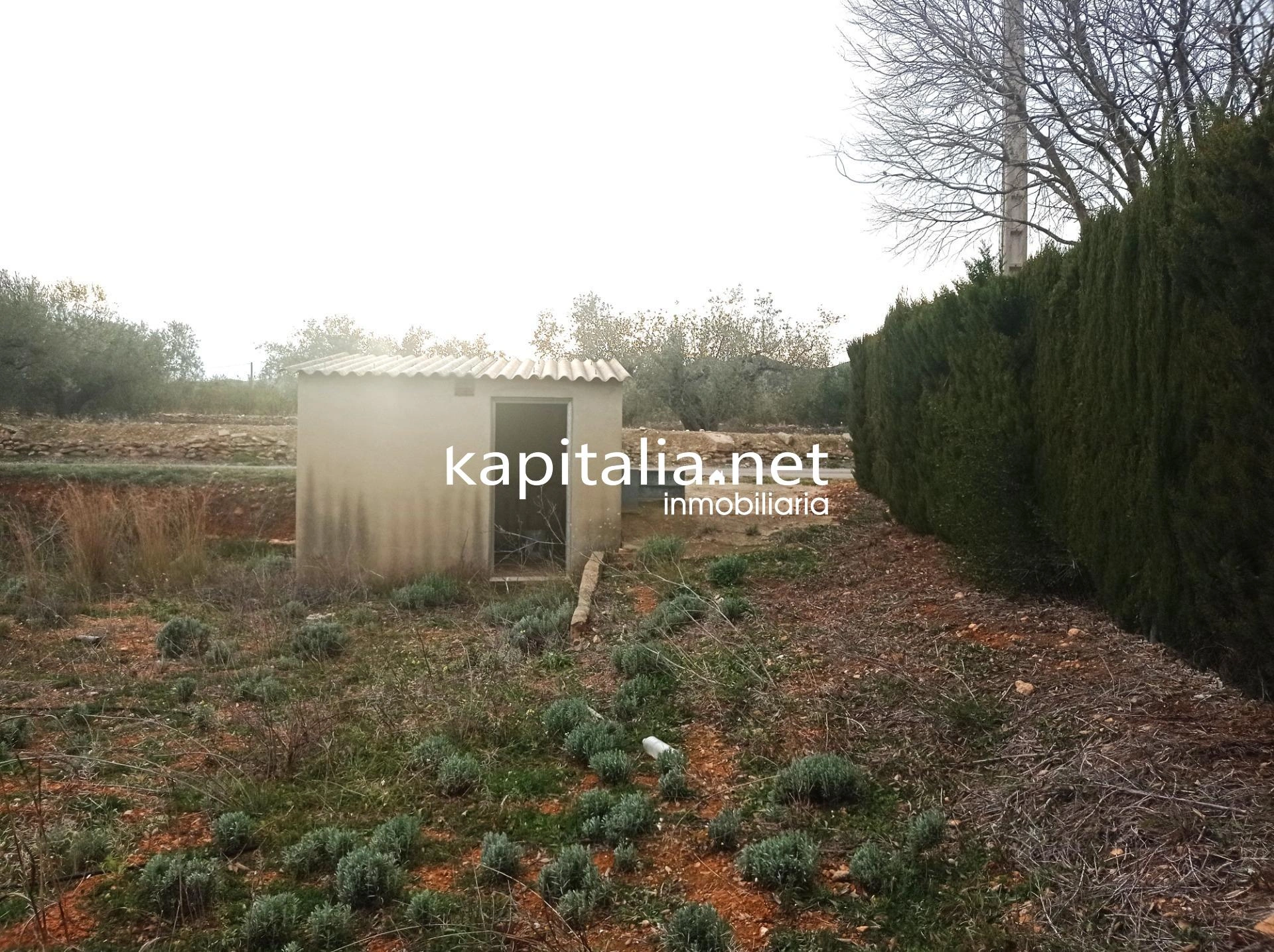 09680 - TERRENO A LA VENTA EN AIELO DE MALFERIT CON CASITA DE APEROS
