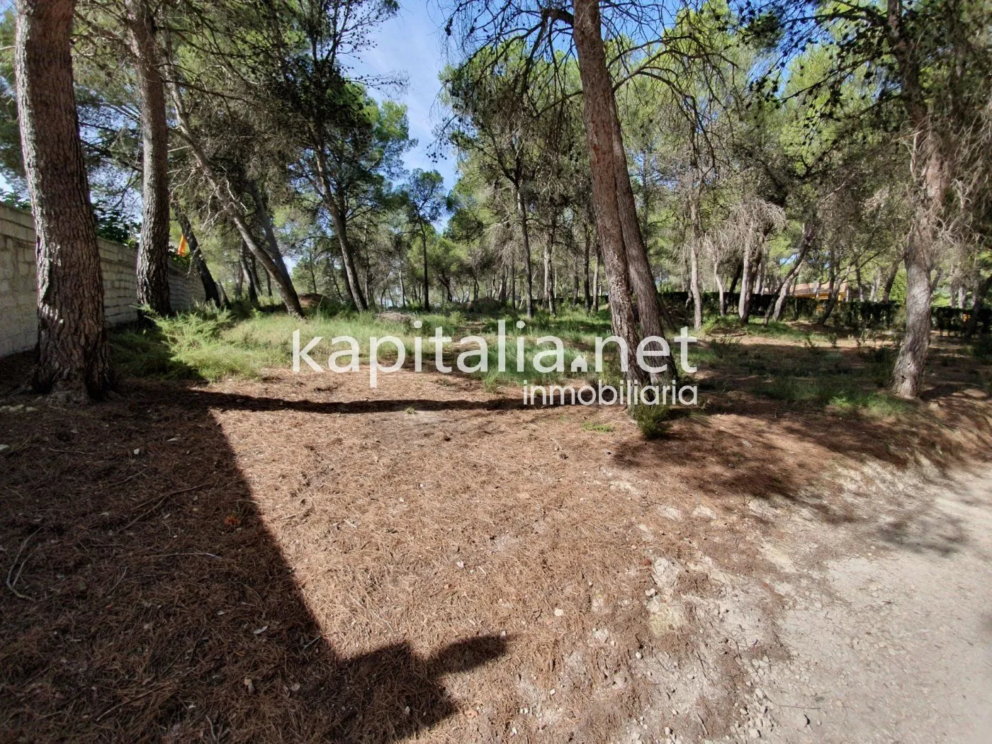 Eigendom te Verkoop in Ontinyent