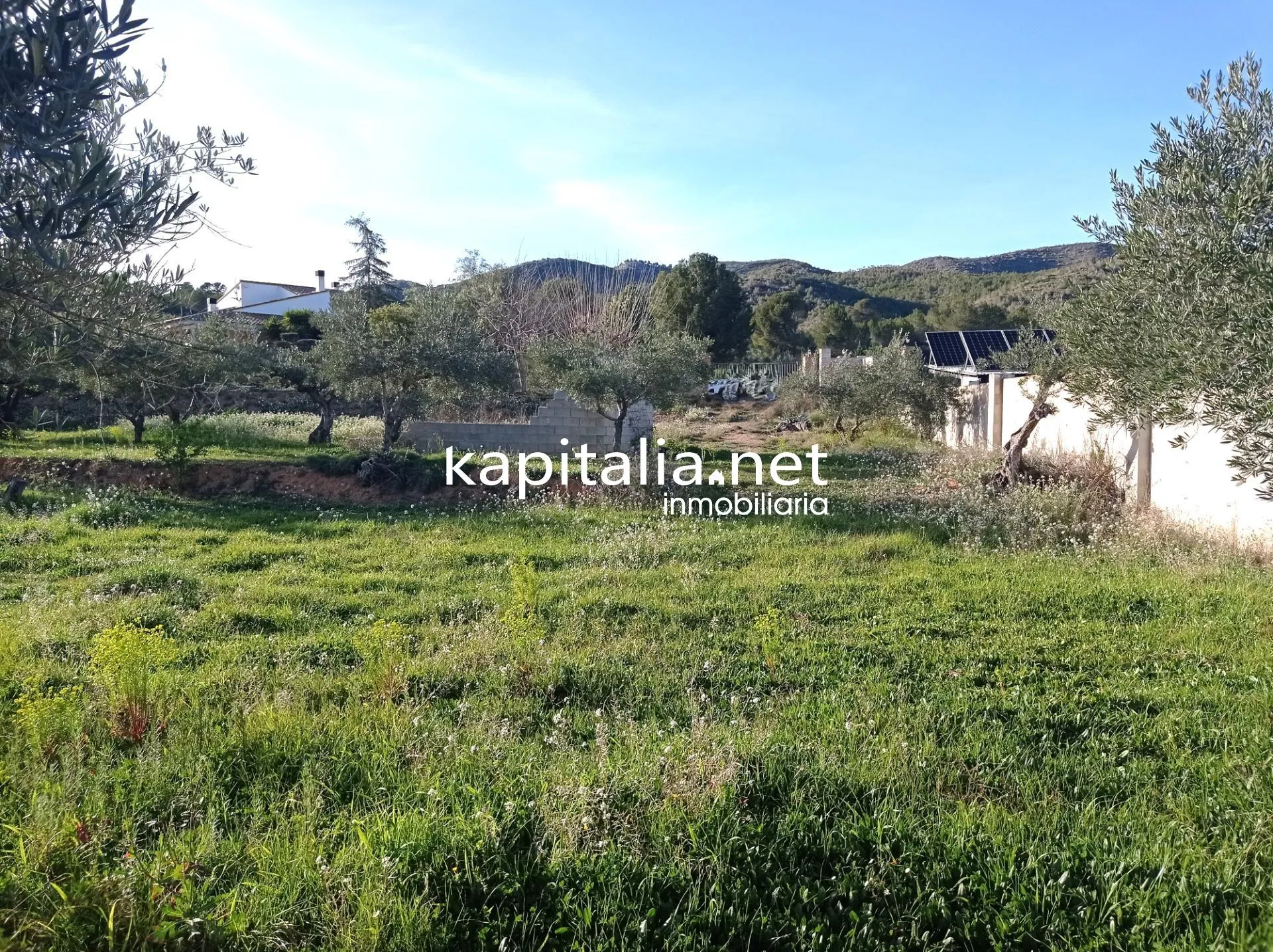 TERRENO A LA VENTA PARTIDA DE LA SOLANA A LA GARNACHA