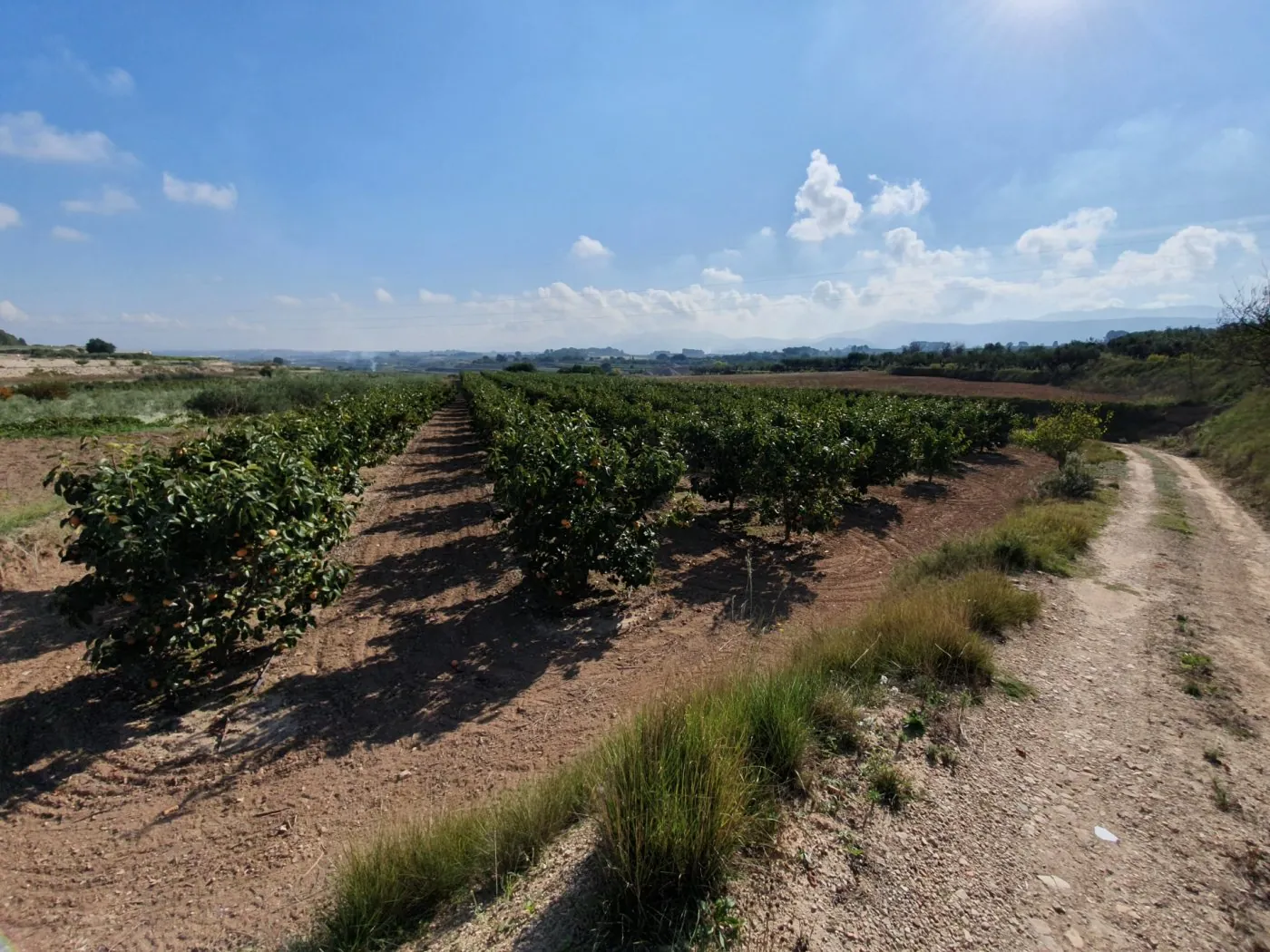 Parcela a la venta en Ontinyent