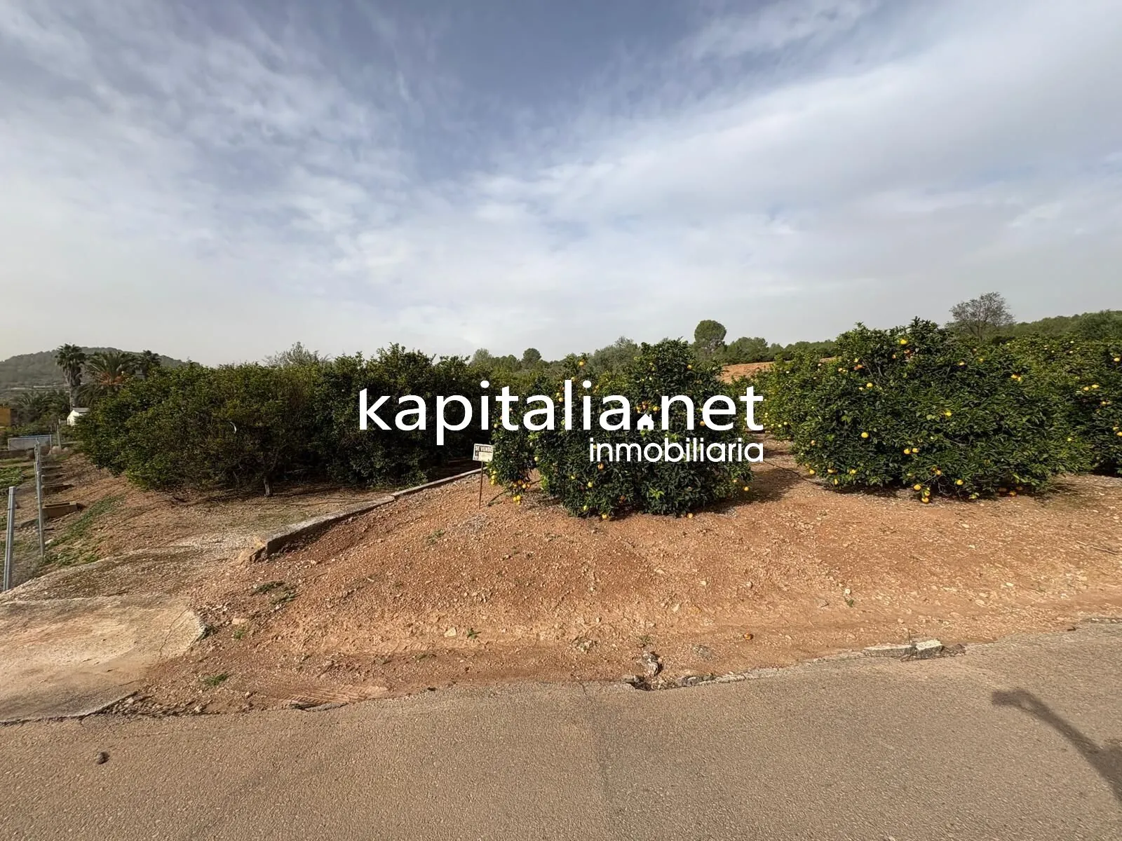 10221 - CAMPO DE NARANJOS A LA VENTA EN ROTGLA-CORBERA
