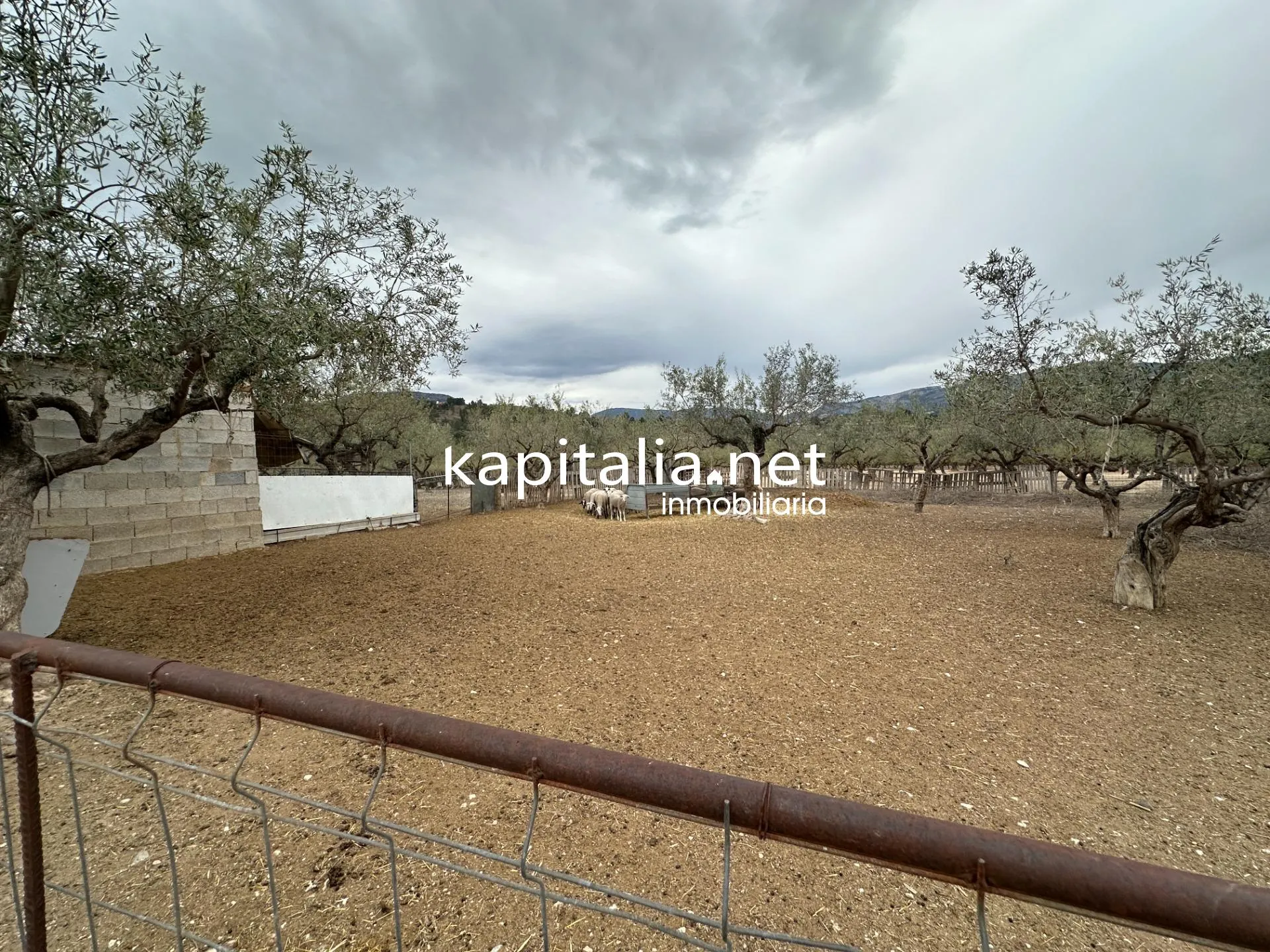 Chalet a la venta en Cocentaina, Alicante.