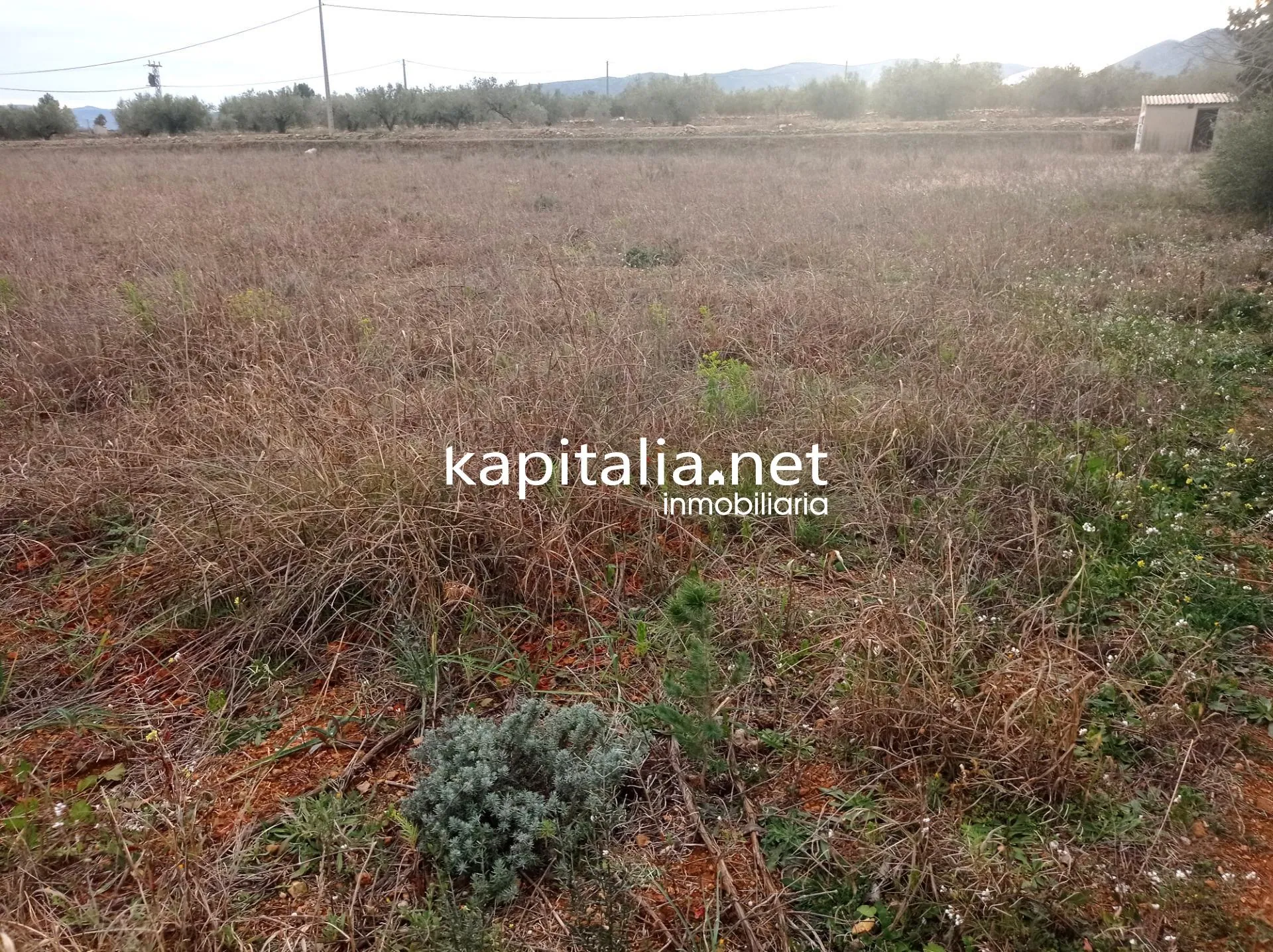 09680 - TERRENO A LA VENTA EN AIELO DE MALFERIT CON CASITA DE APEROS