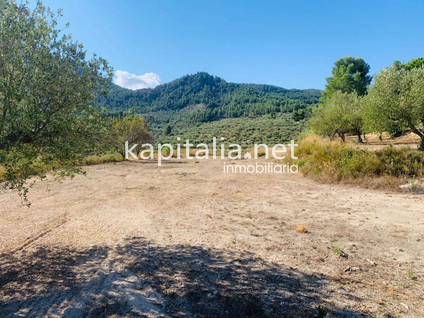 Parcela a la venta en Alfafara.