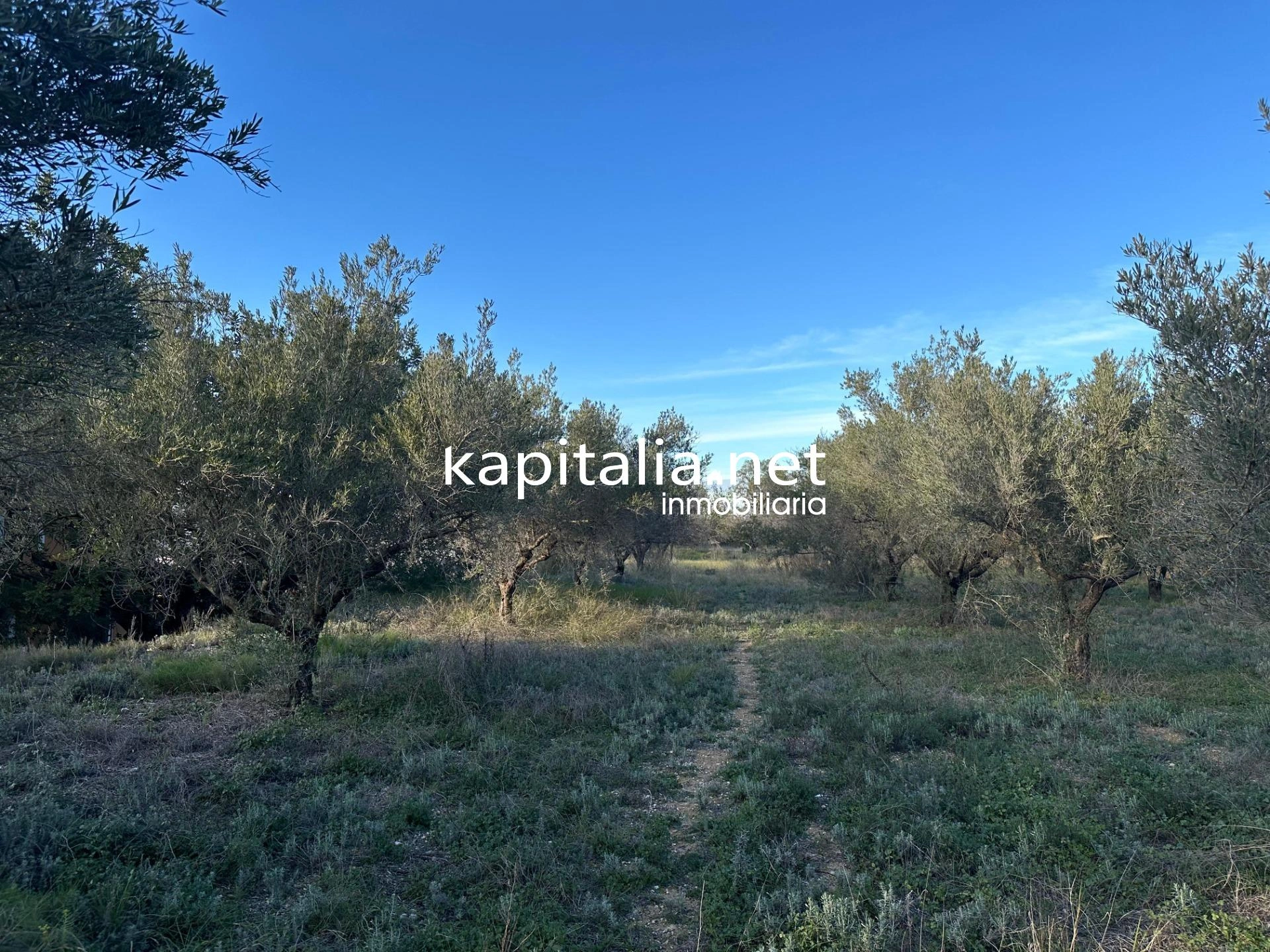 09678 - Property for Sale in Ontinyent