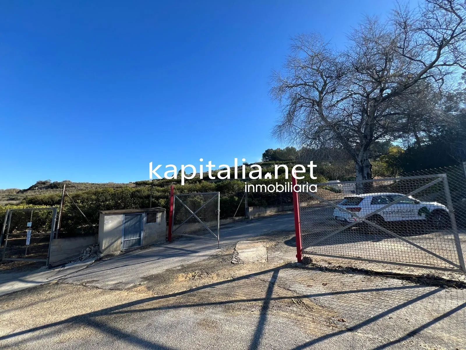 09780 - FINCA DE NARANJOS A LA VENTA EN LA LLOSA DE RANES