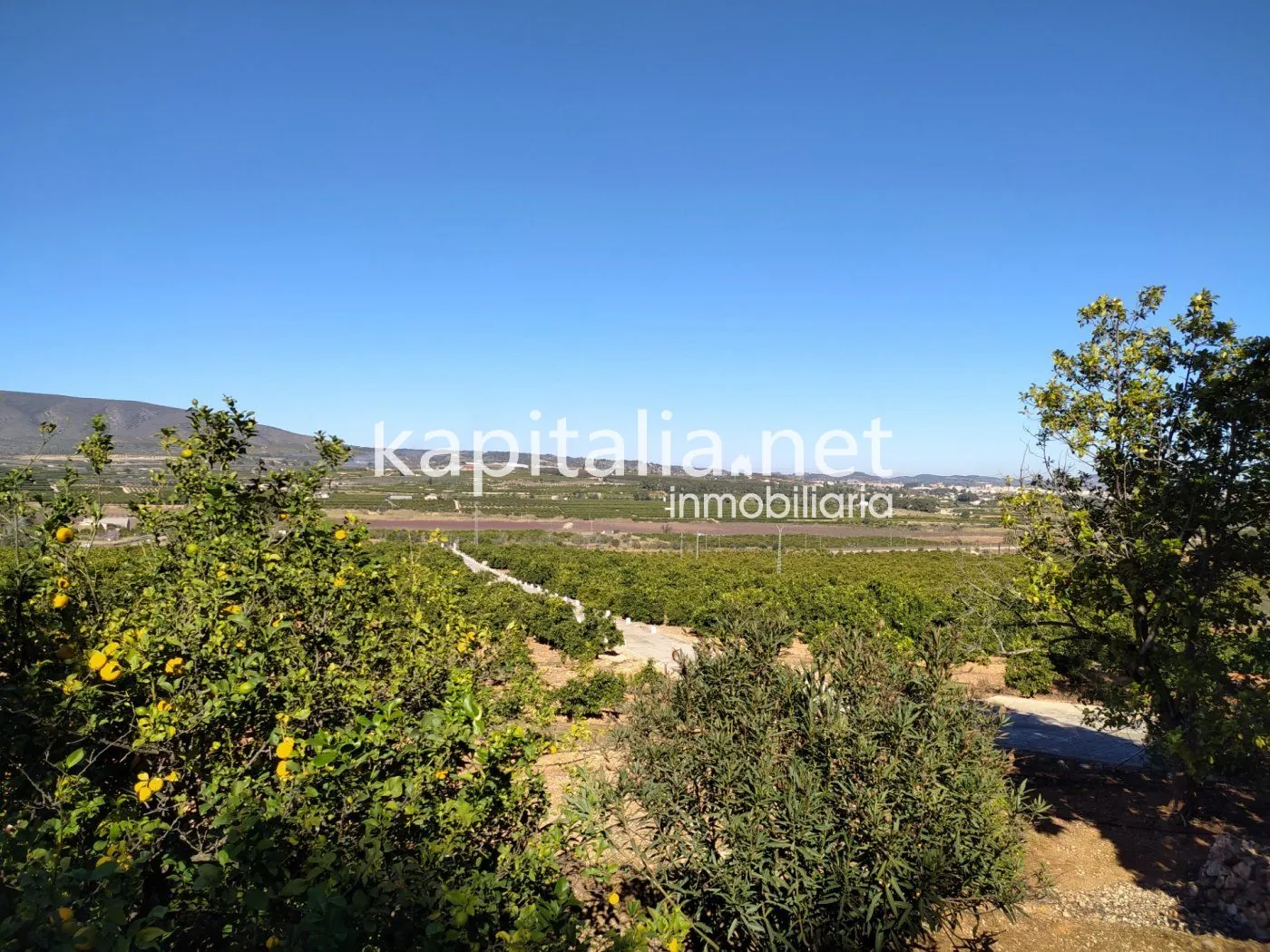 07230 - FINCA RÚSTICA A LA VENTA EN UN ENTORNO ÚNICO
