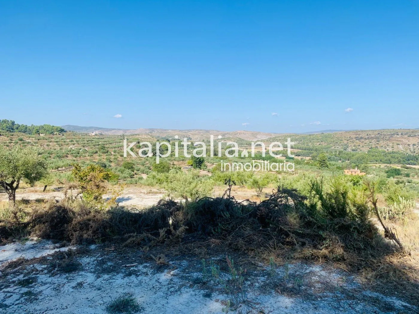 Parcela a la venta en Alfafara.