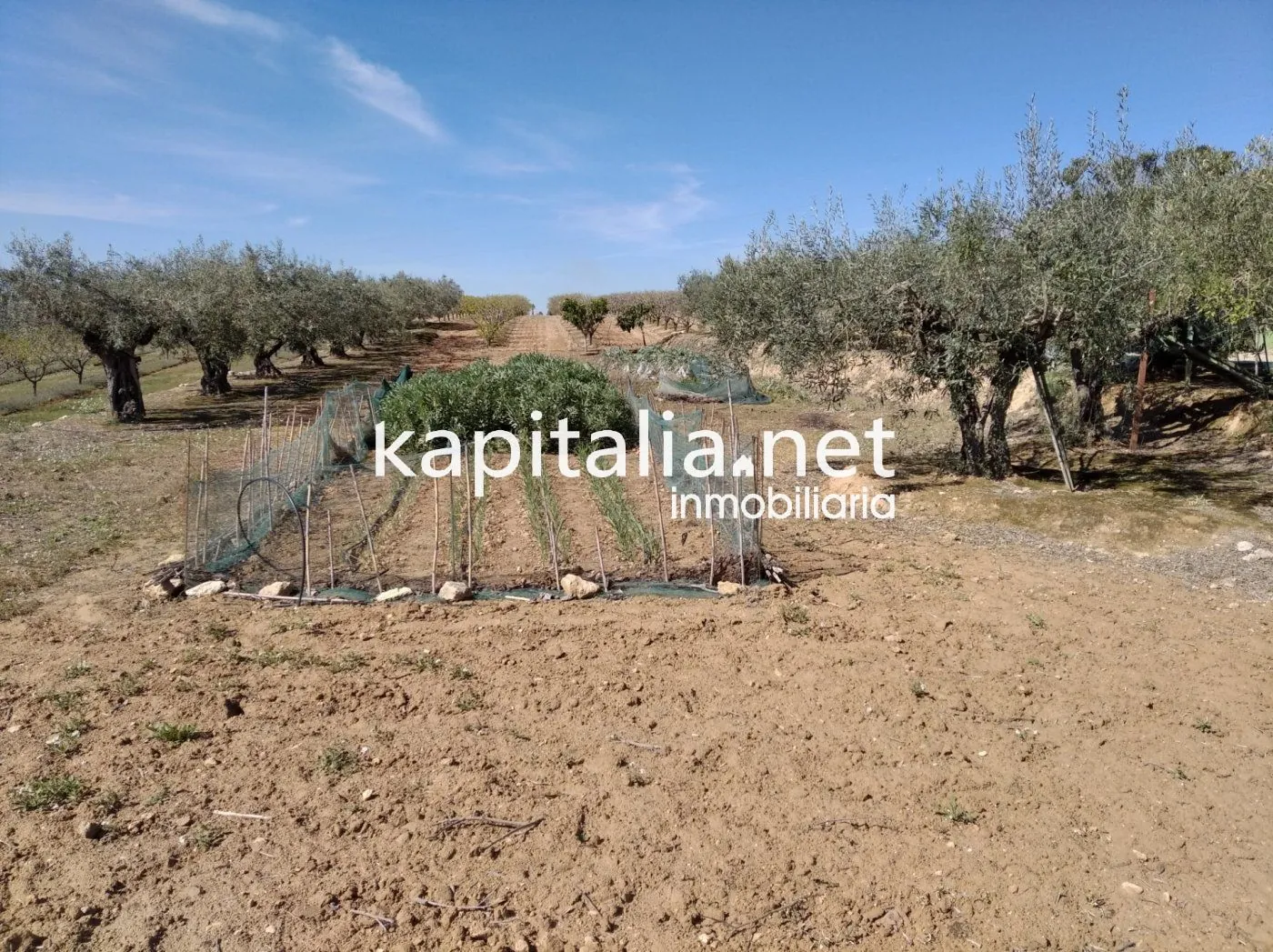 06597 - Casita con terreno a la venta en Agullent, zona Corral Nou.