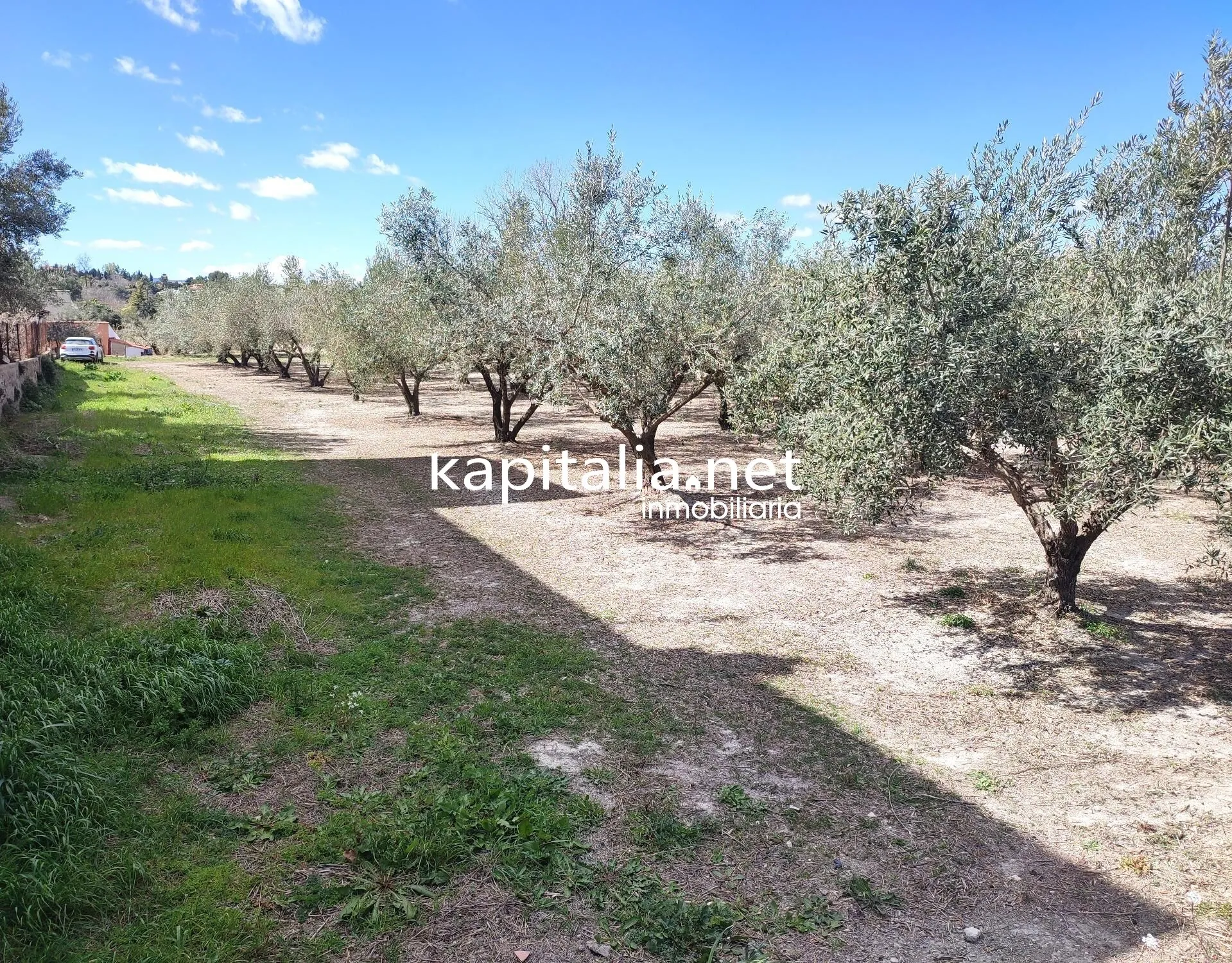 Eigendom te Verkoop in Ontinyent