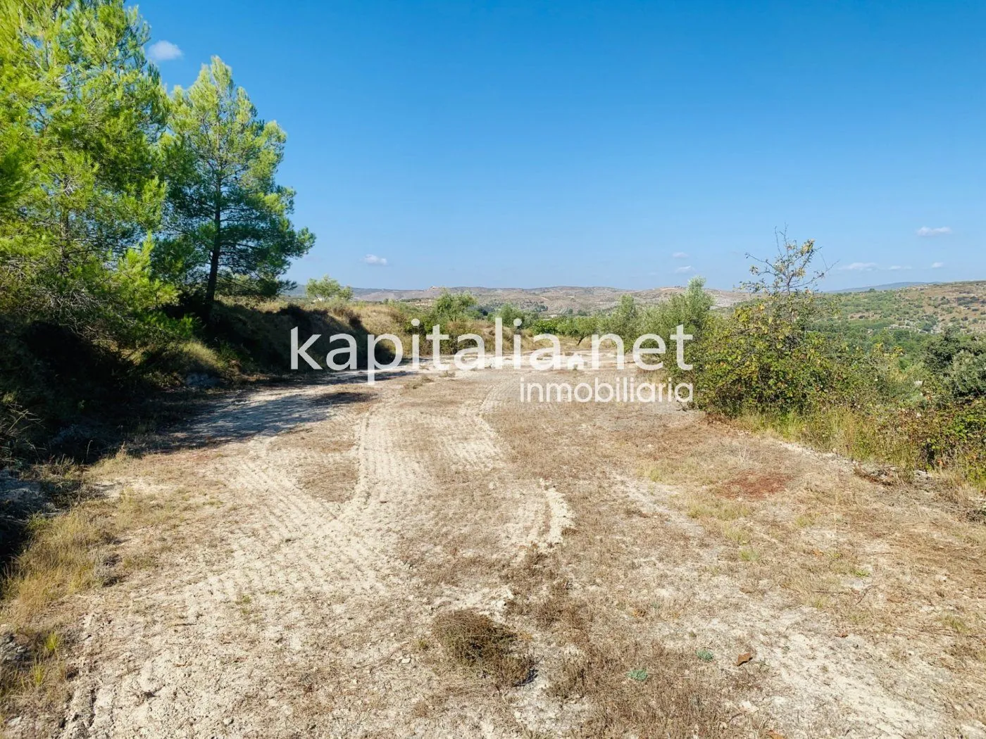Parcela a la venta en Alfafara.