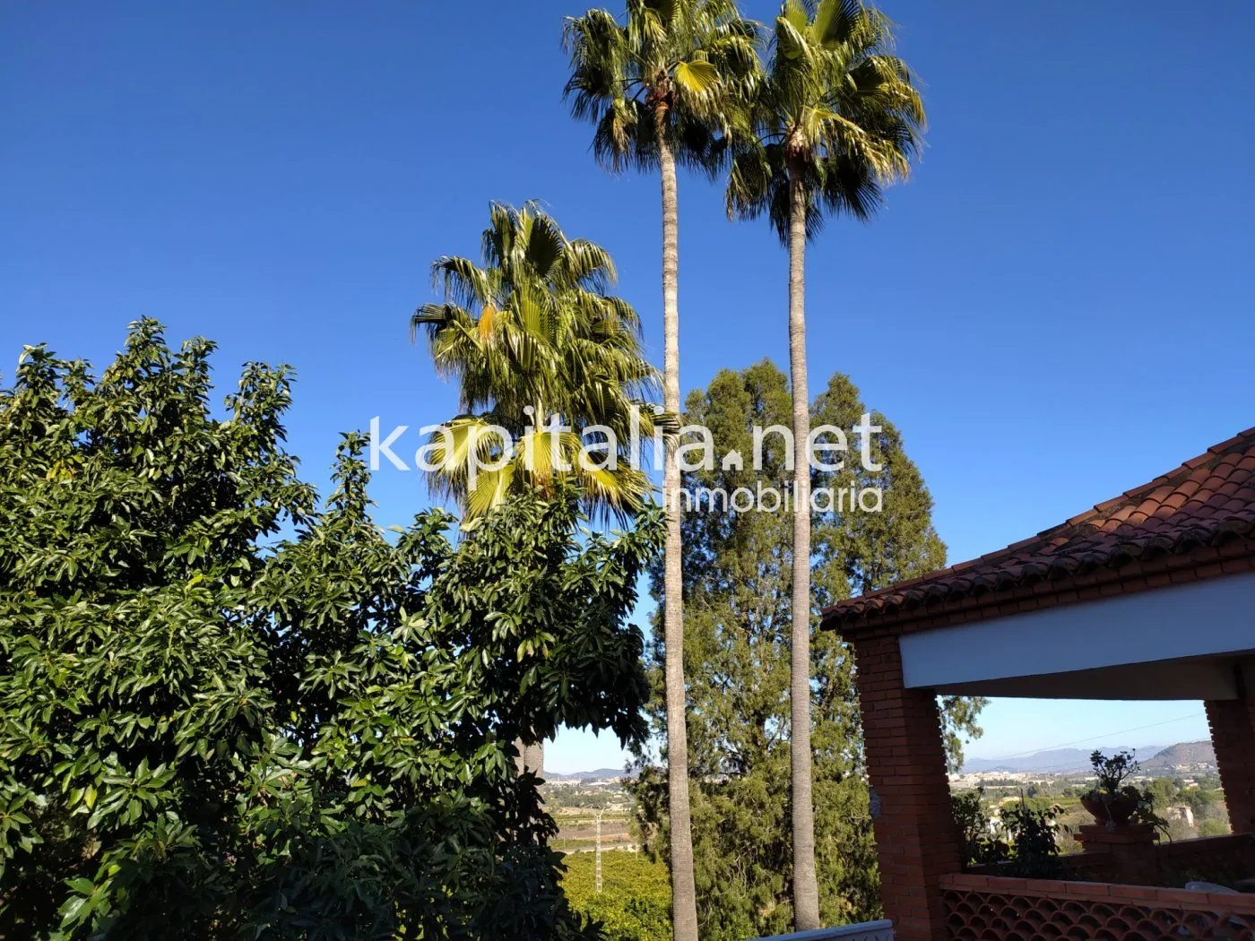 07230 - FINCA RÚSTICA A LA VENTA EN UN ENTORNO ÚNICO