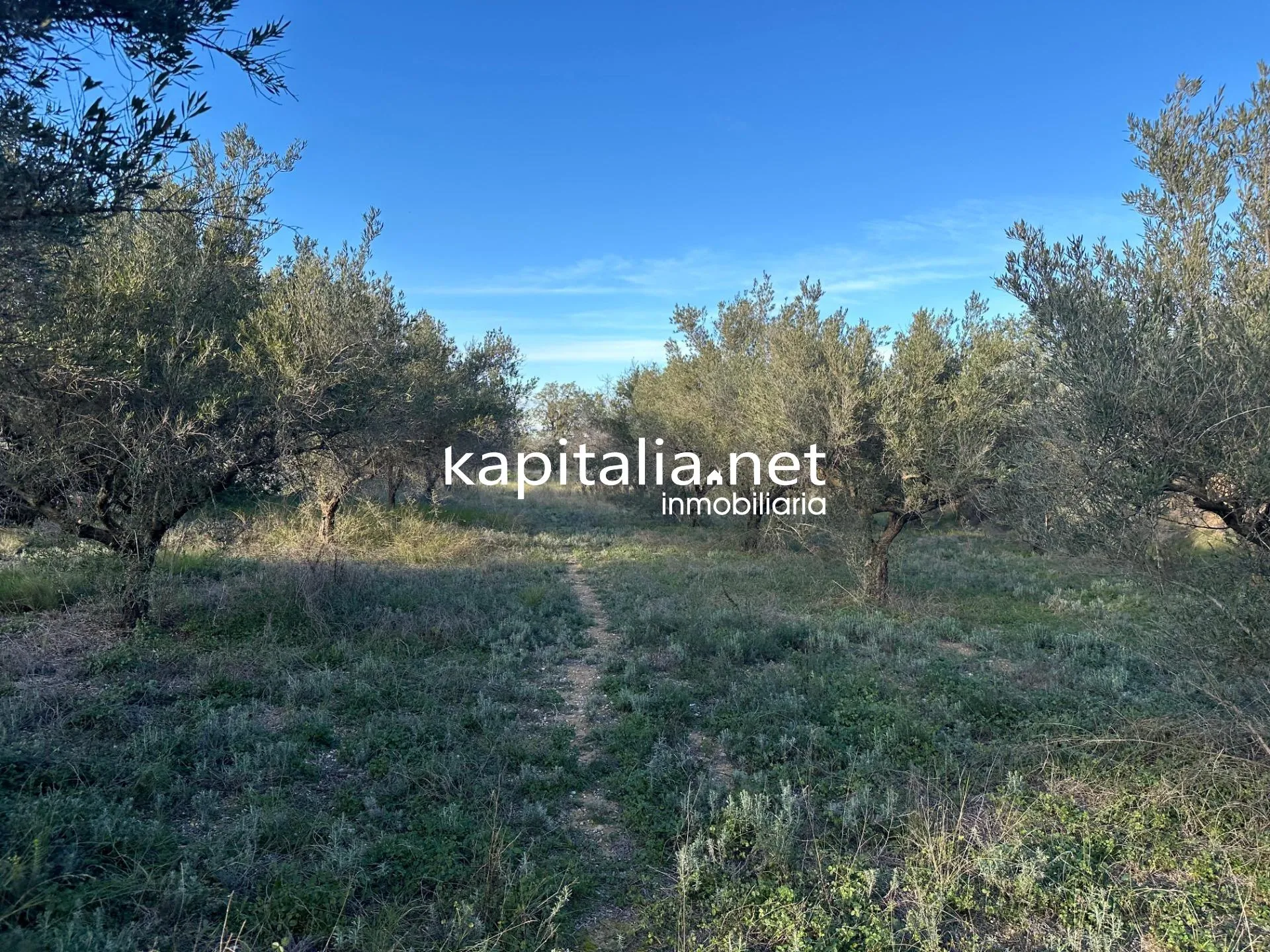 09678 - Property for Sale in Ontinyent
