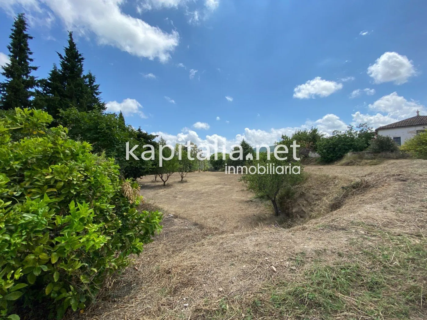 06306 - ESPECTACULAR FINCA A LA VENTA EN ALBAIDA