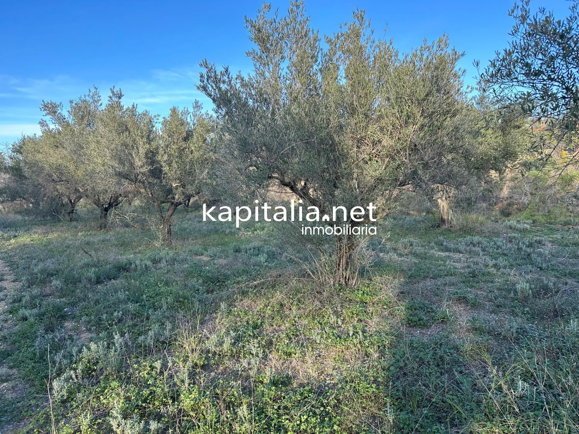 09678 - Property for Sale in Ontinyent