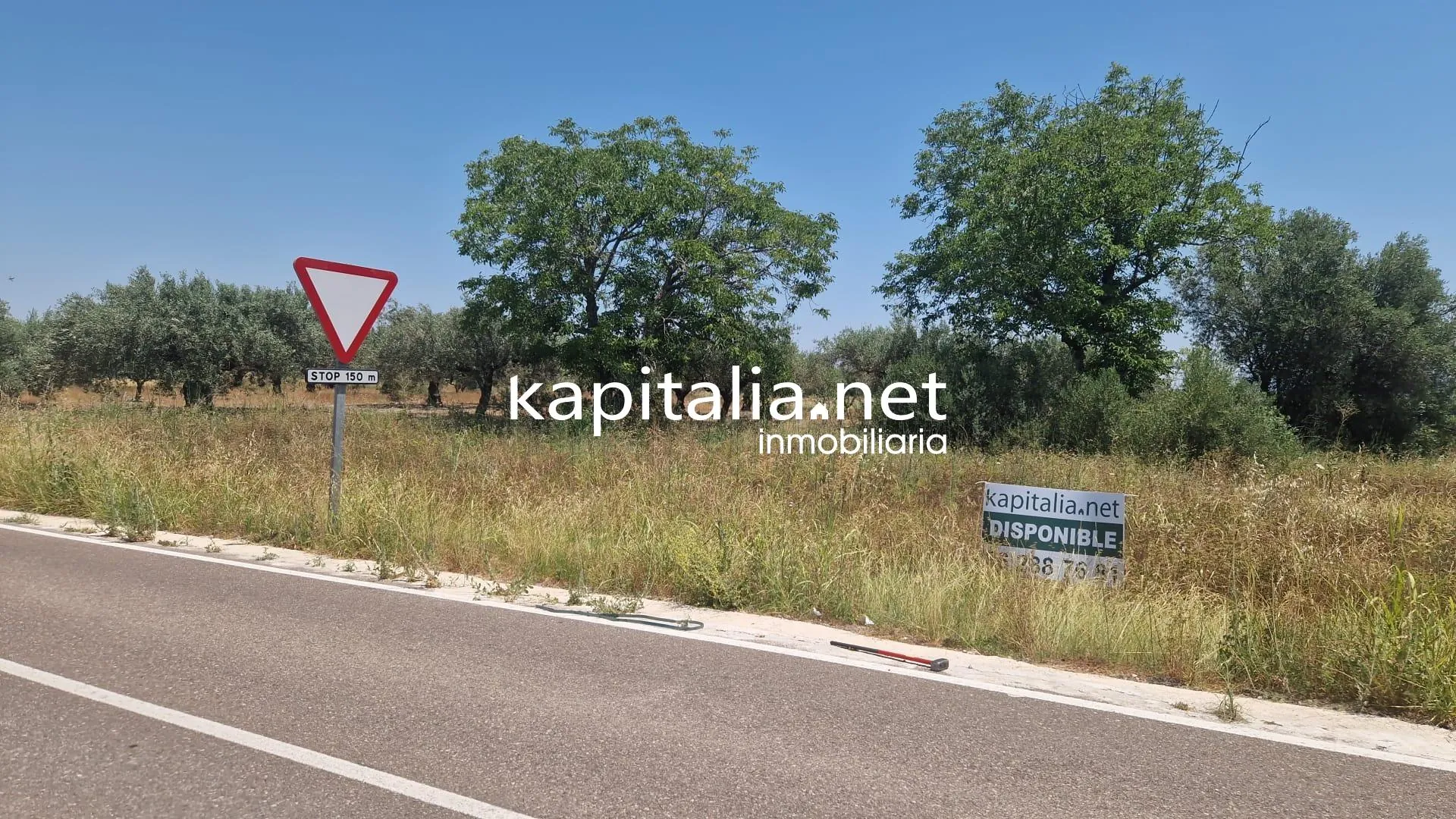 Venta de parcelas en Palomar