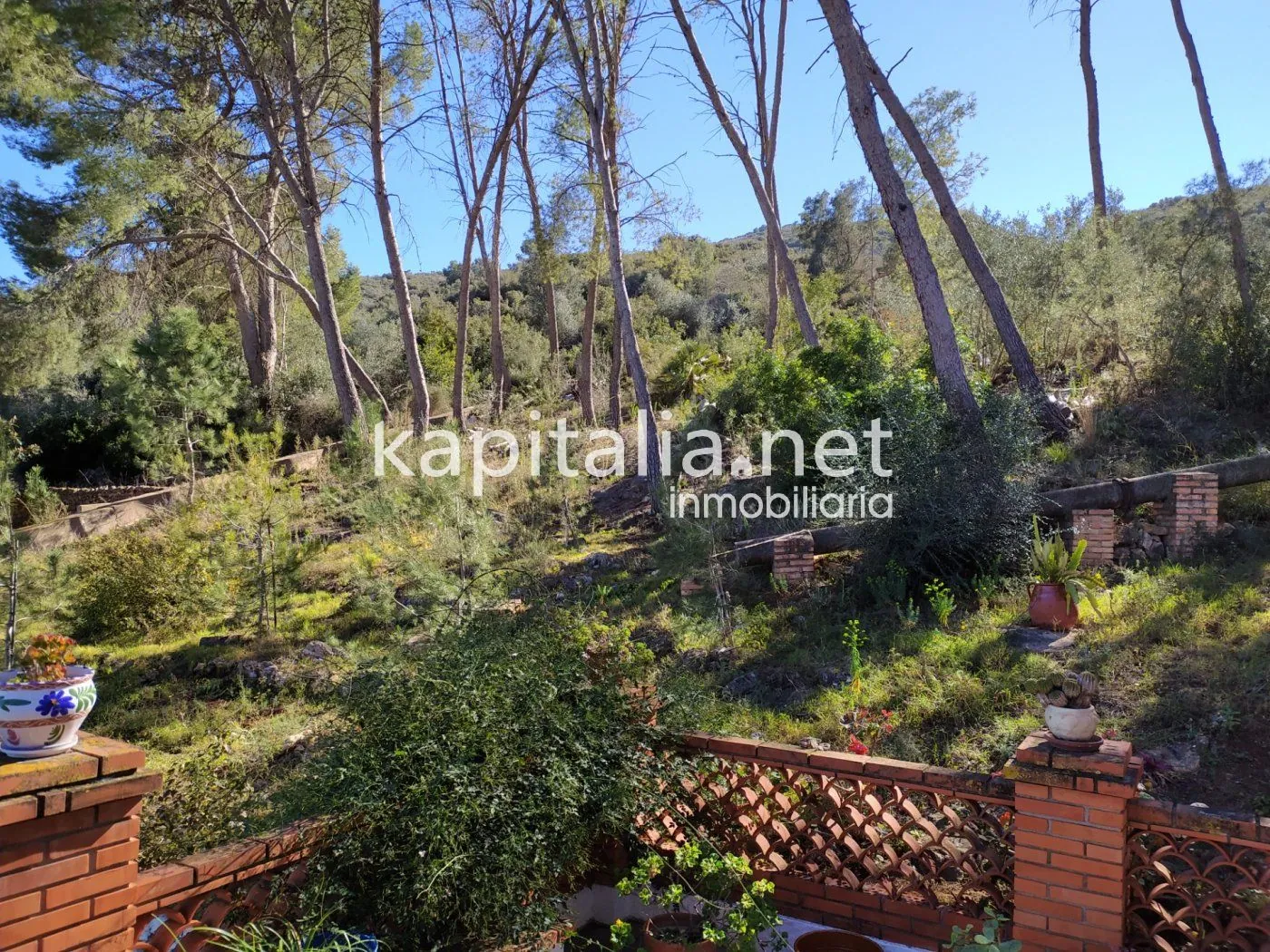 07230 - FINCA RÚSTICA A LA VENTA EN UN ENTORNO ÚNICO