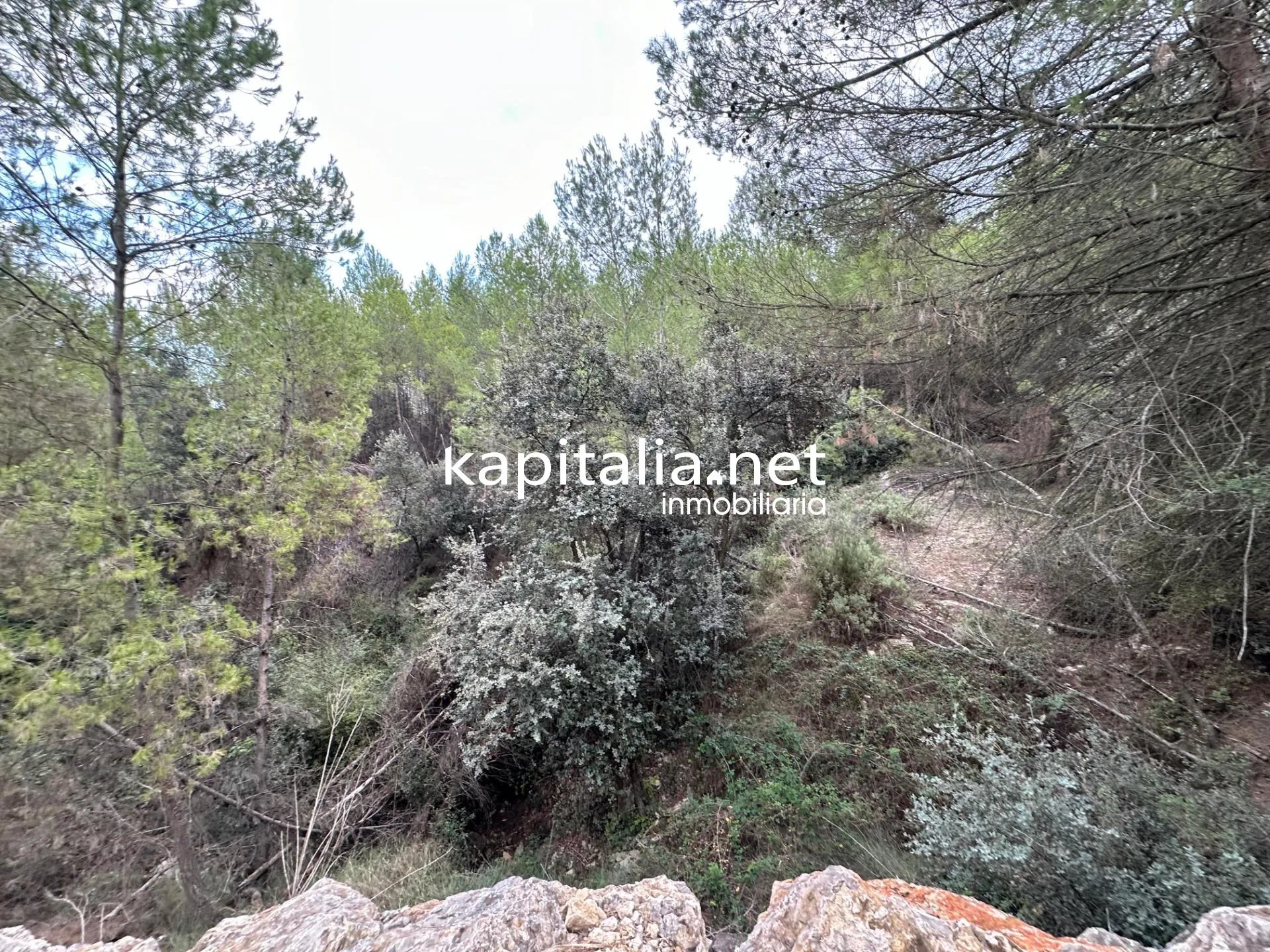 09442 - Parcela a la venta en Alfafara