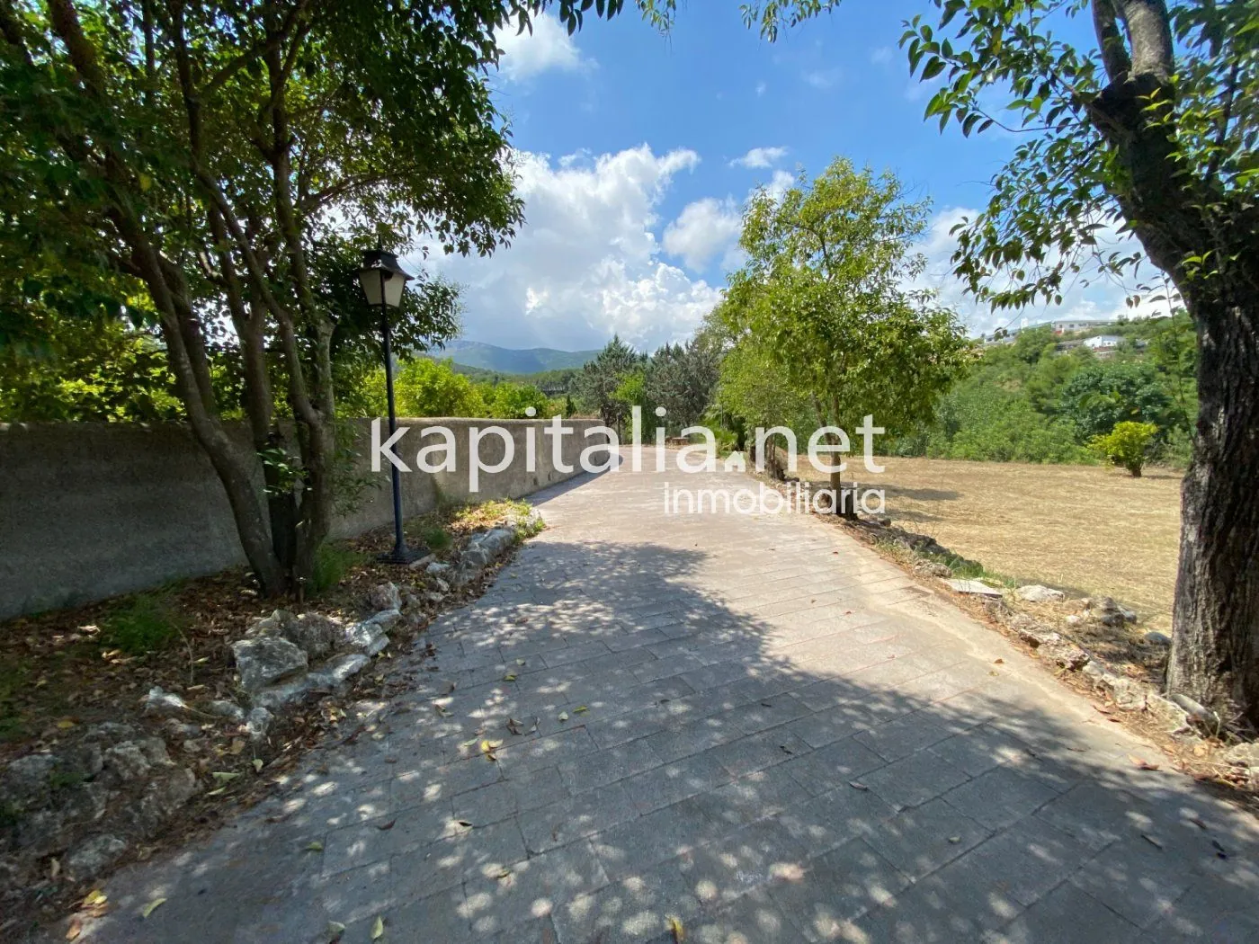 06306 - ESPECTACULAR FINCA A LA VENTA EN ALBAIDA