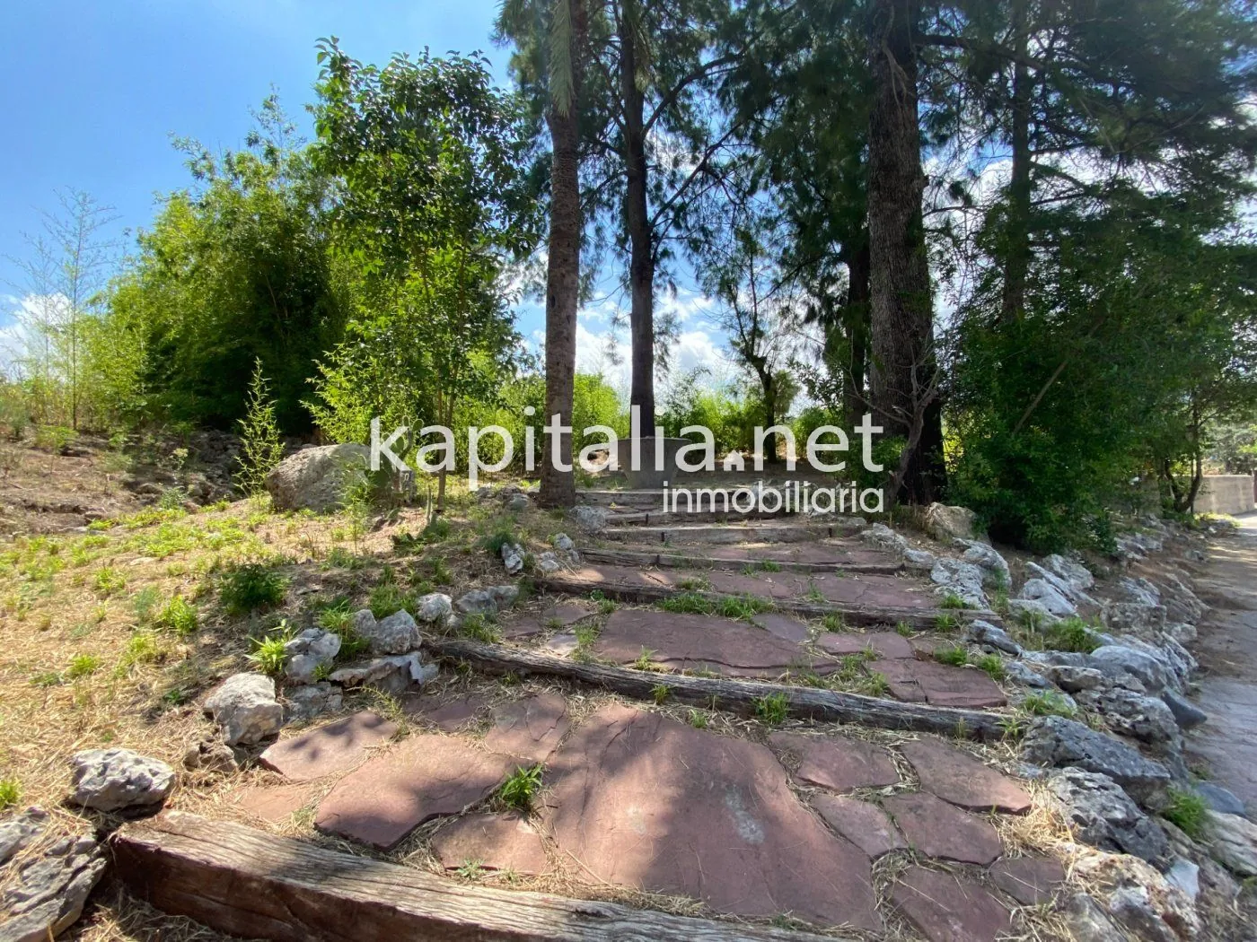 06306 - ESPECTACULAR FINCA A LA VENTA EN ALBAIDA